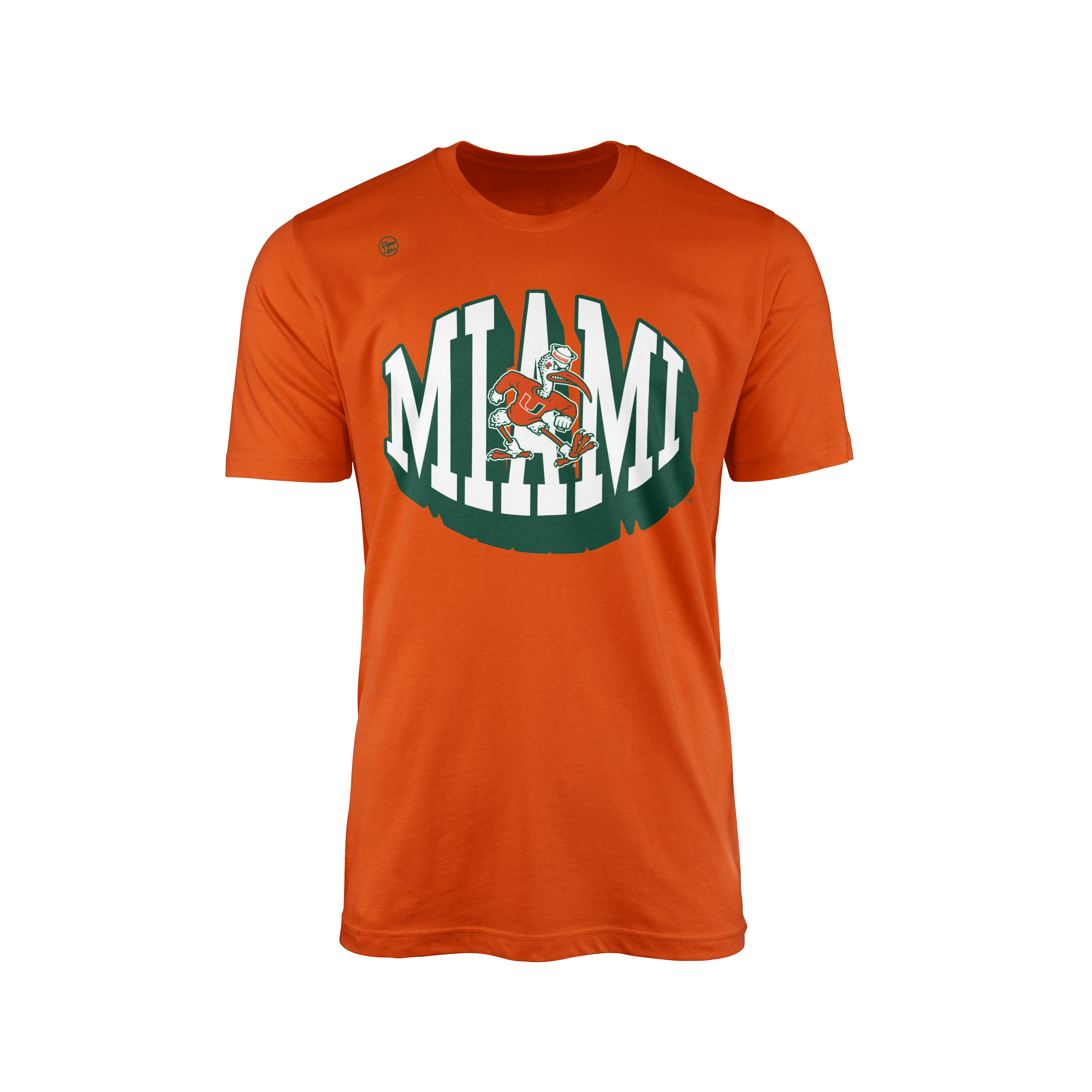 Miami Hurricanes Men's Statement Tee