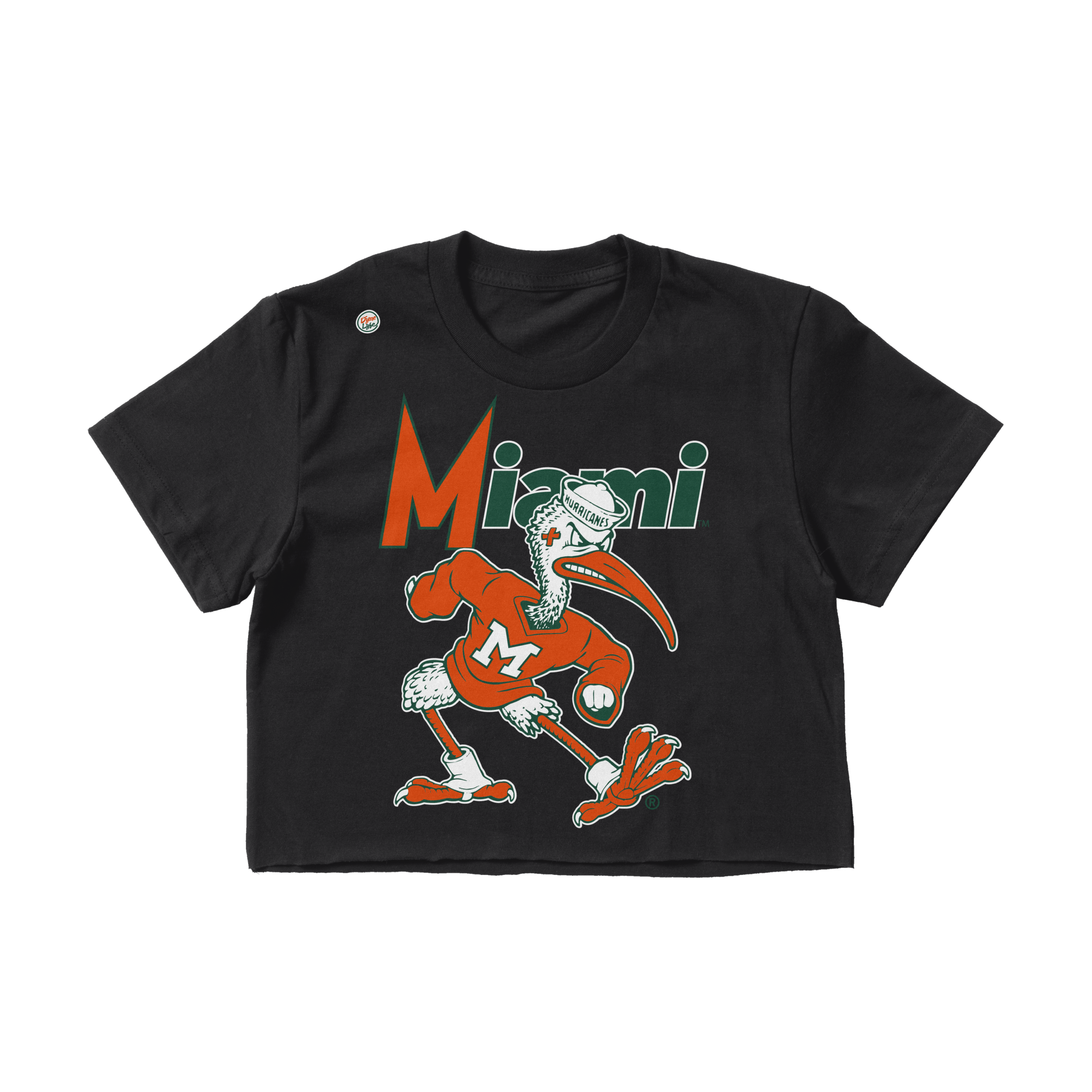 Miami Hurricanes Mens Small Sean Taylor Stitched Home Green