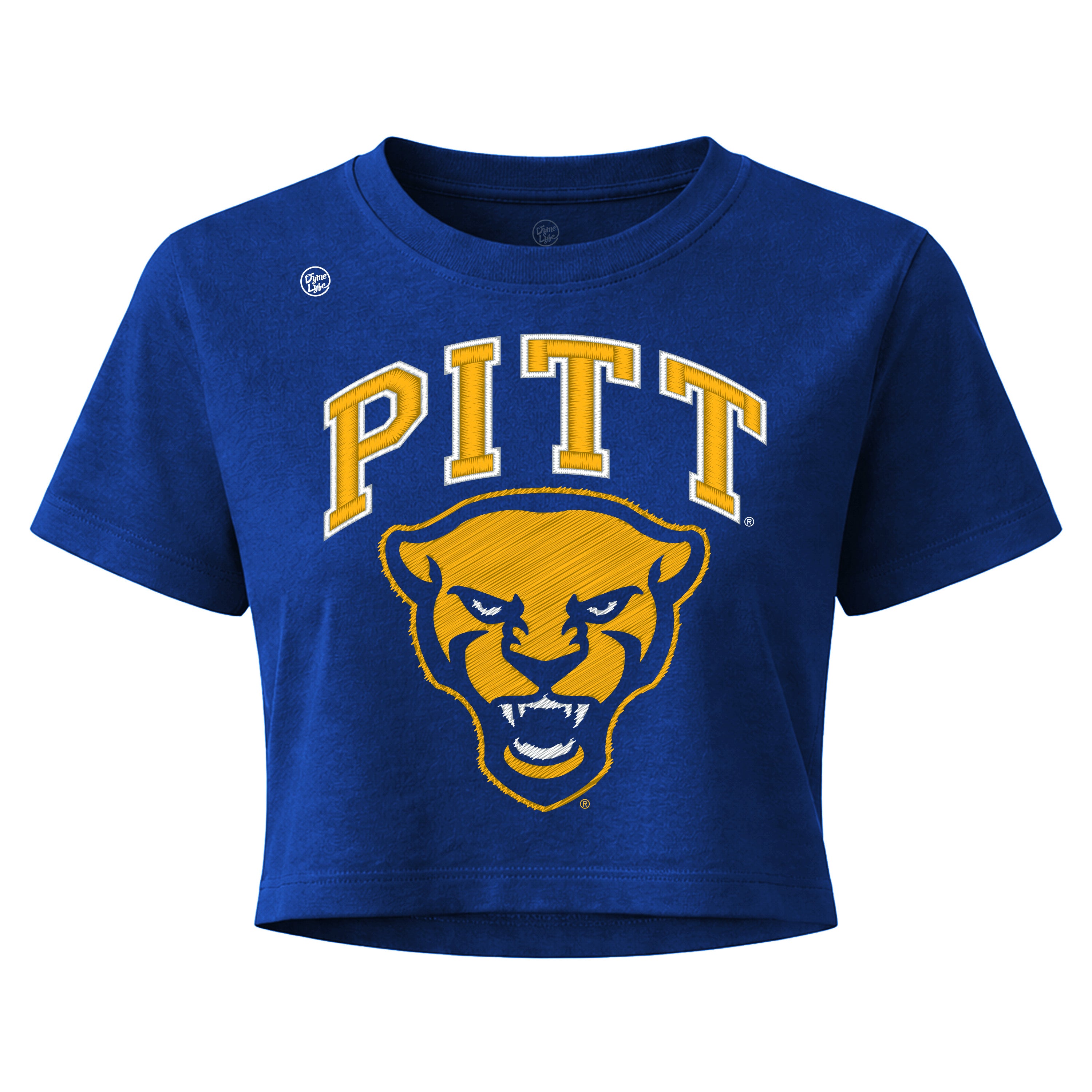Pittsburgh Panthers Women's Vintage Arch Crop Top