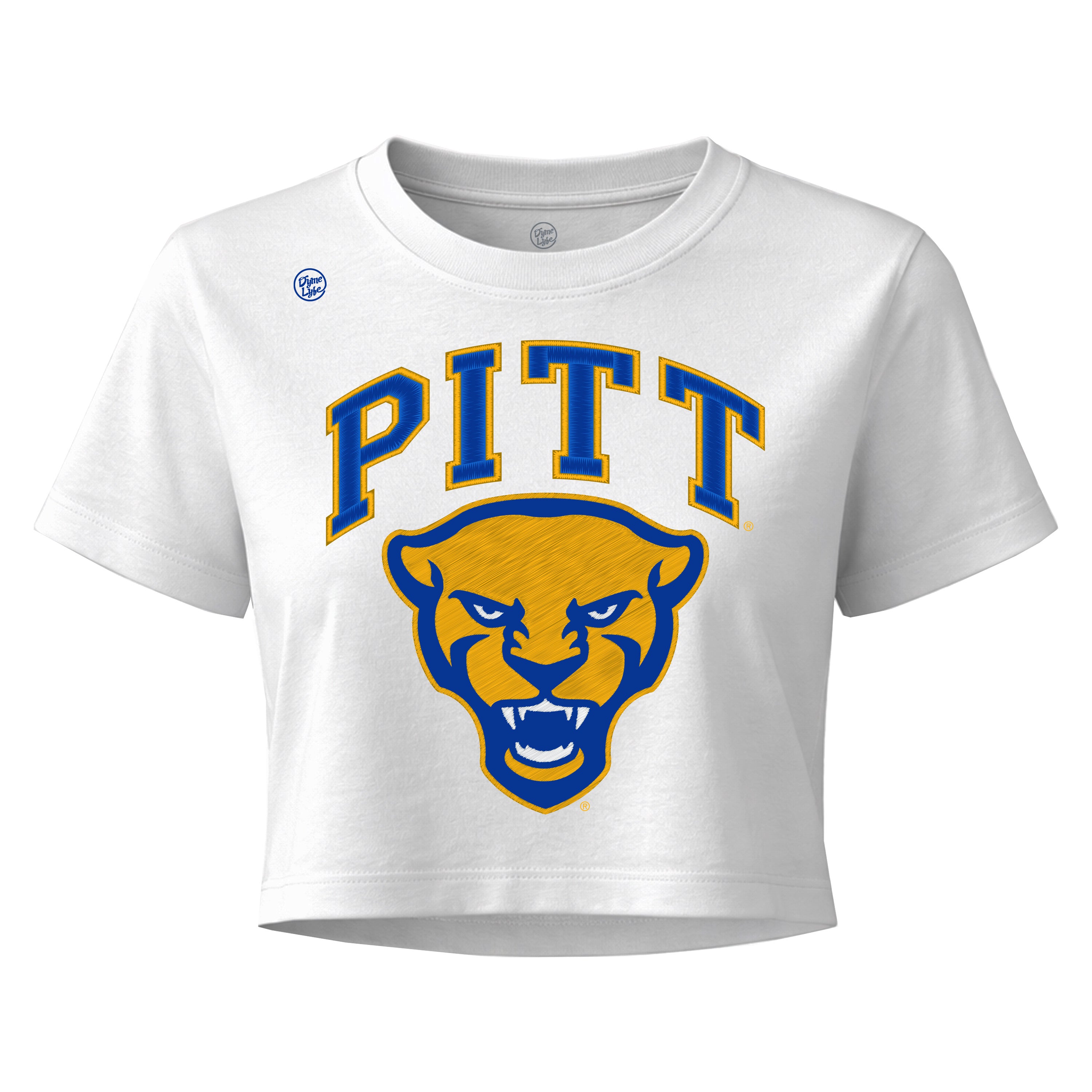 Pittsburgh Panthers Women's Vintage Arch Crop Top