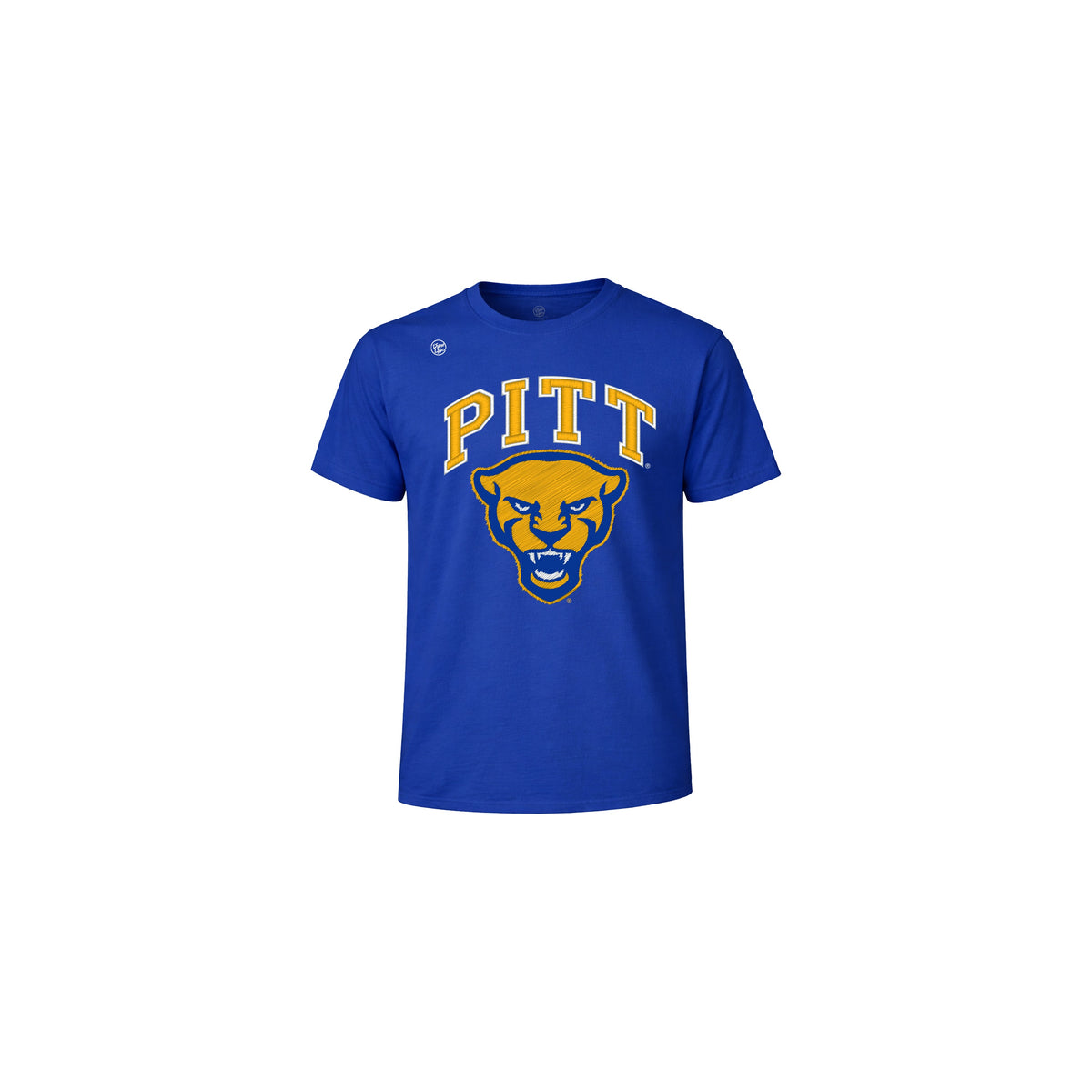 Pittsburgh Panthers Youth Vintage Arch Tee
