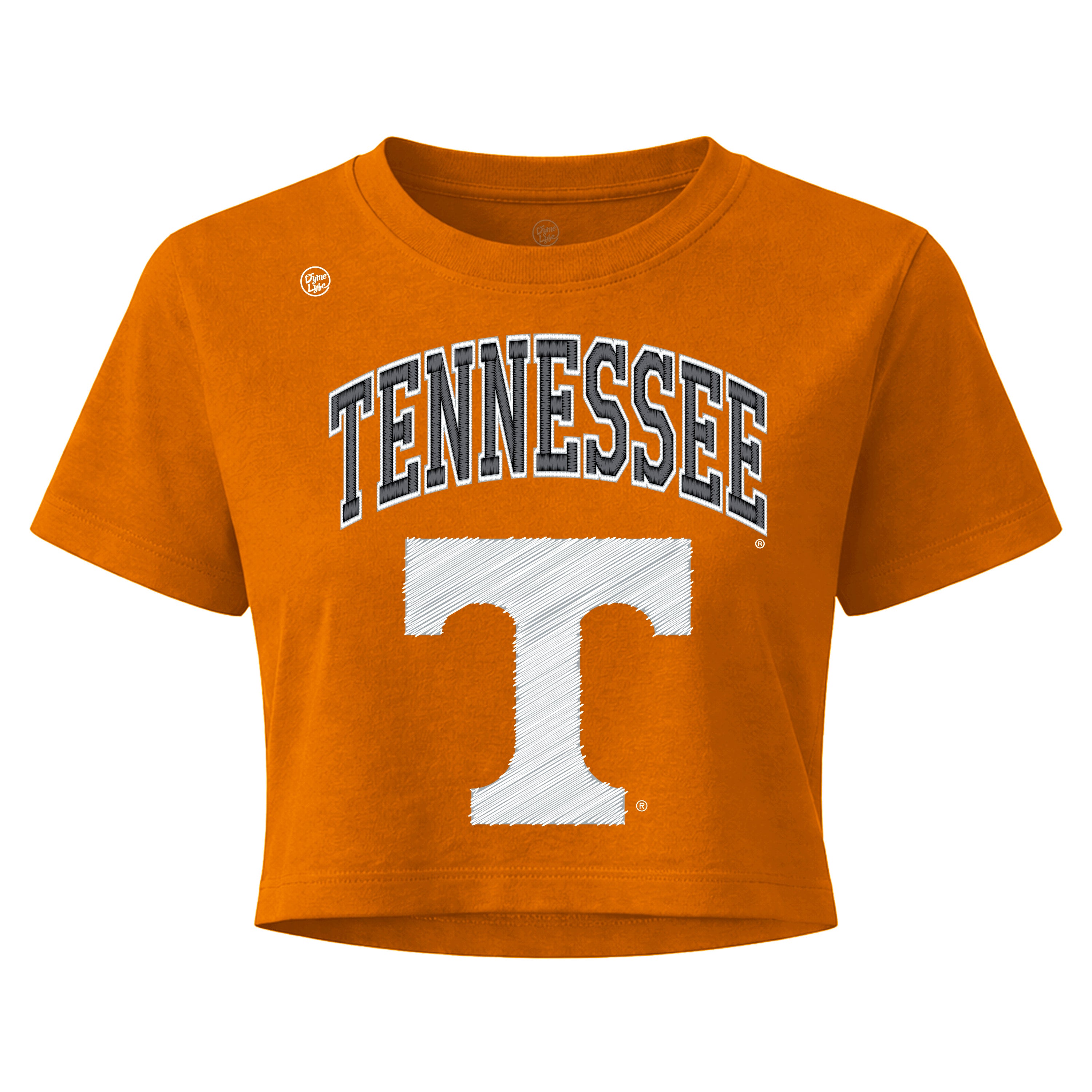 Tennessee Volunteers Women's Vintage Arch Crop Top