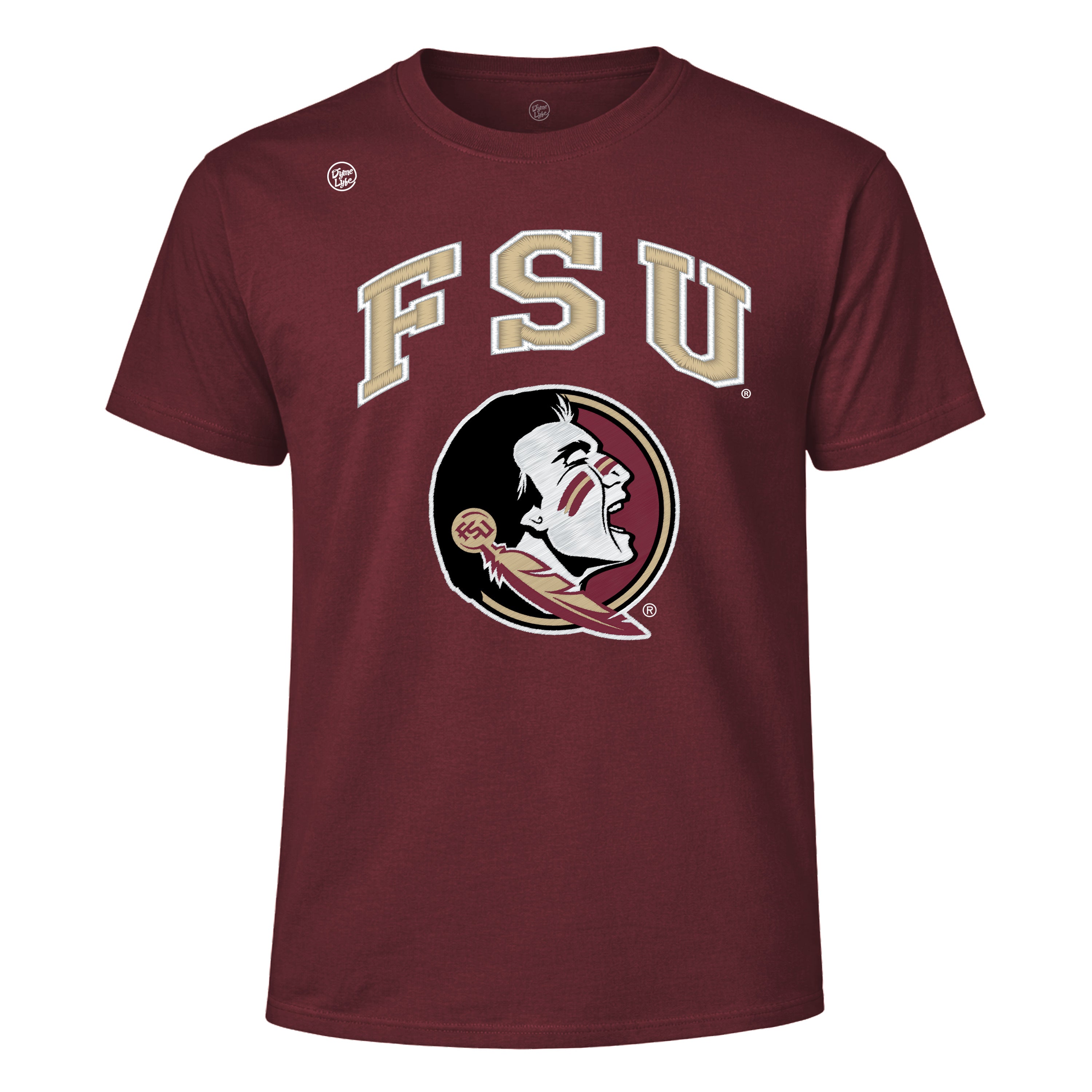 Florida State Seminoles Men's Vintage Arch Tee