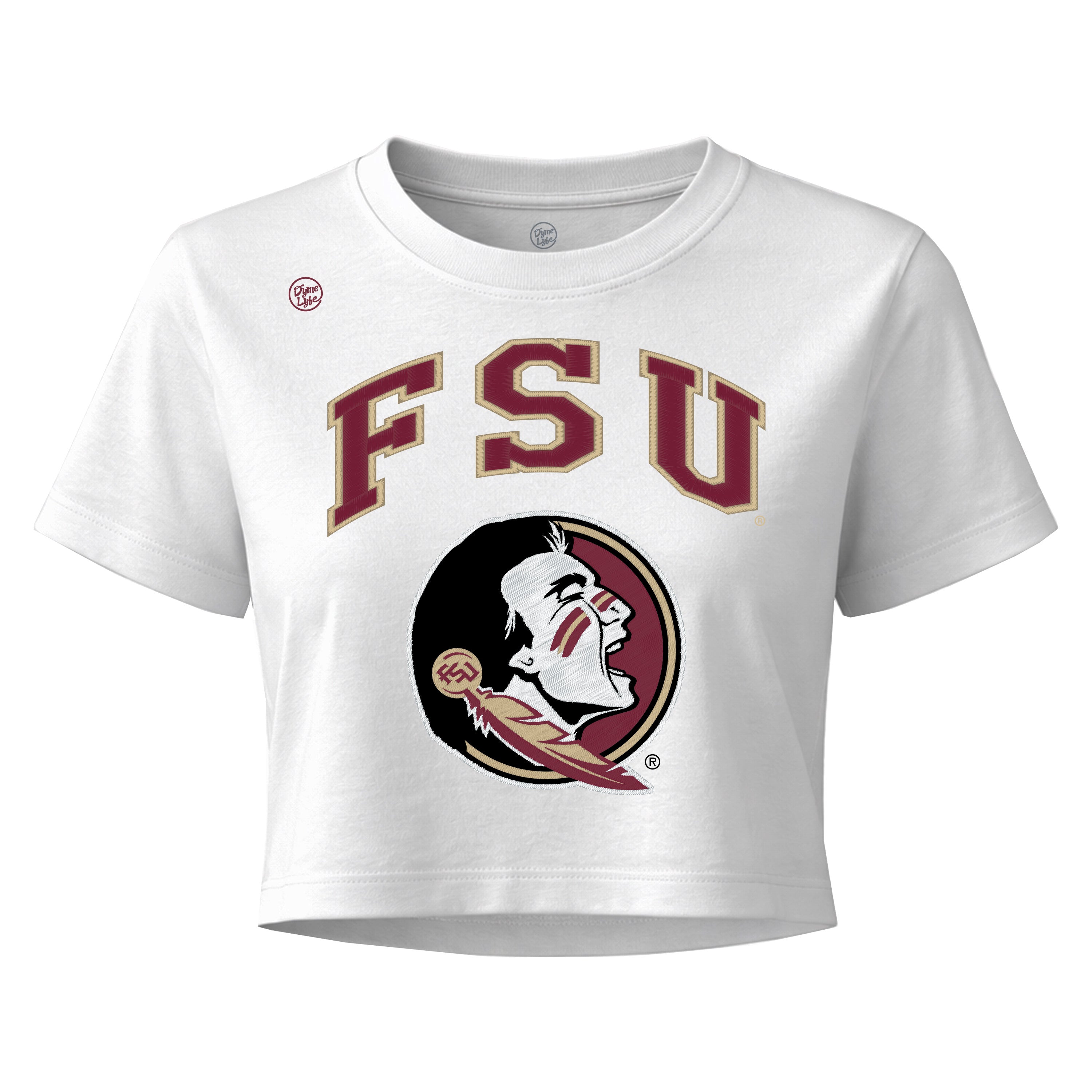 Florida State Seminoles Women's Vintage Arch Crop Top