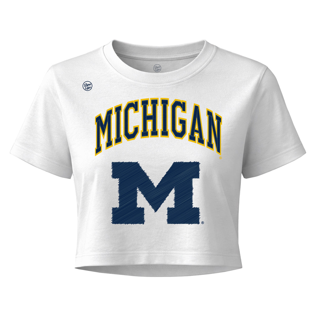Michigan Wolverines Women's Vintage Arch Crop Top