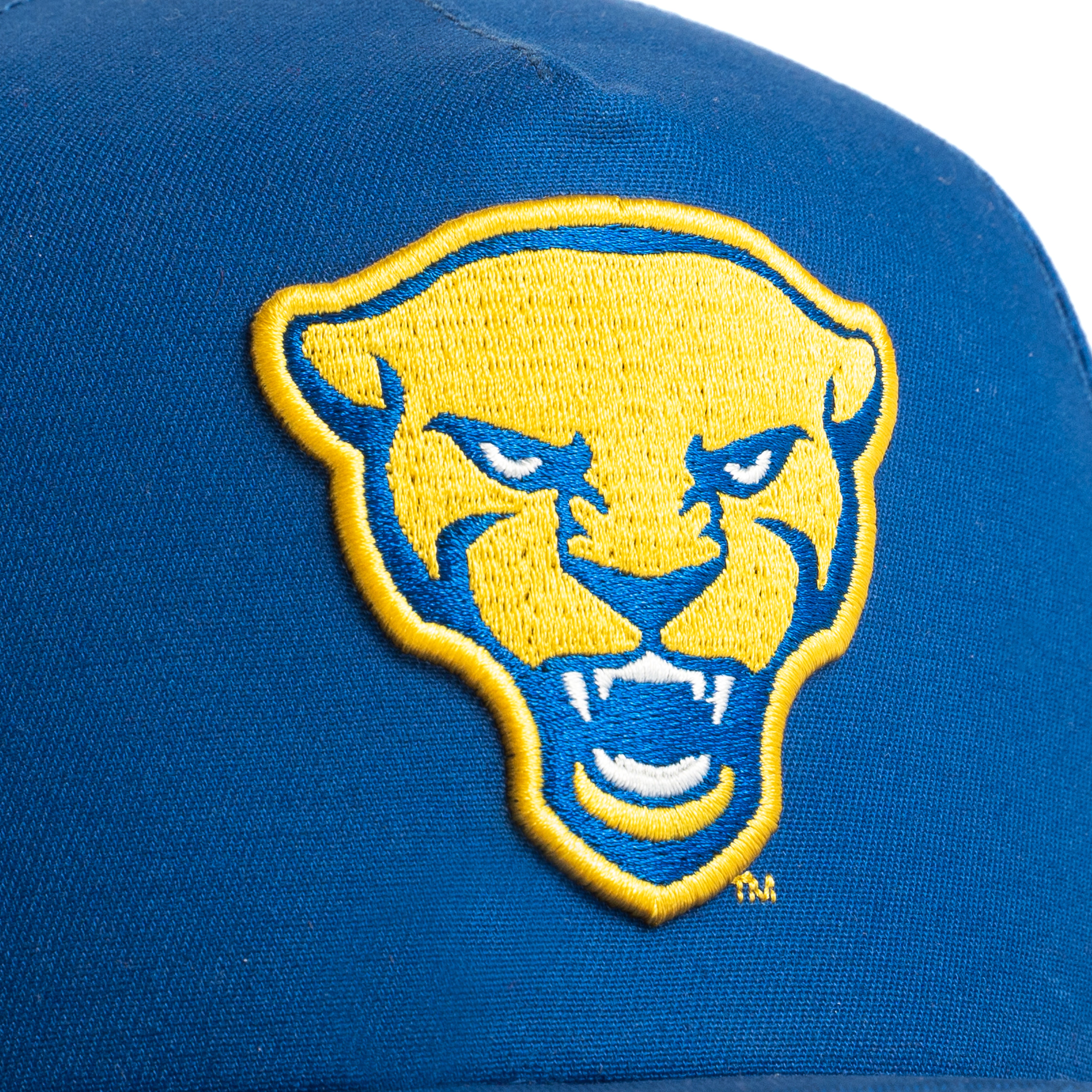 Pittsburgh Panthers $Bill Hat