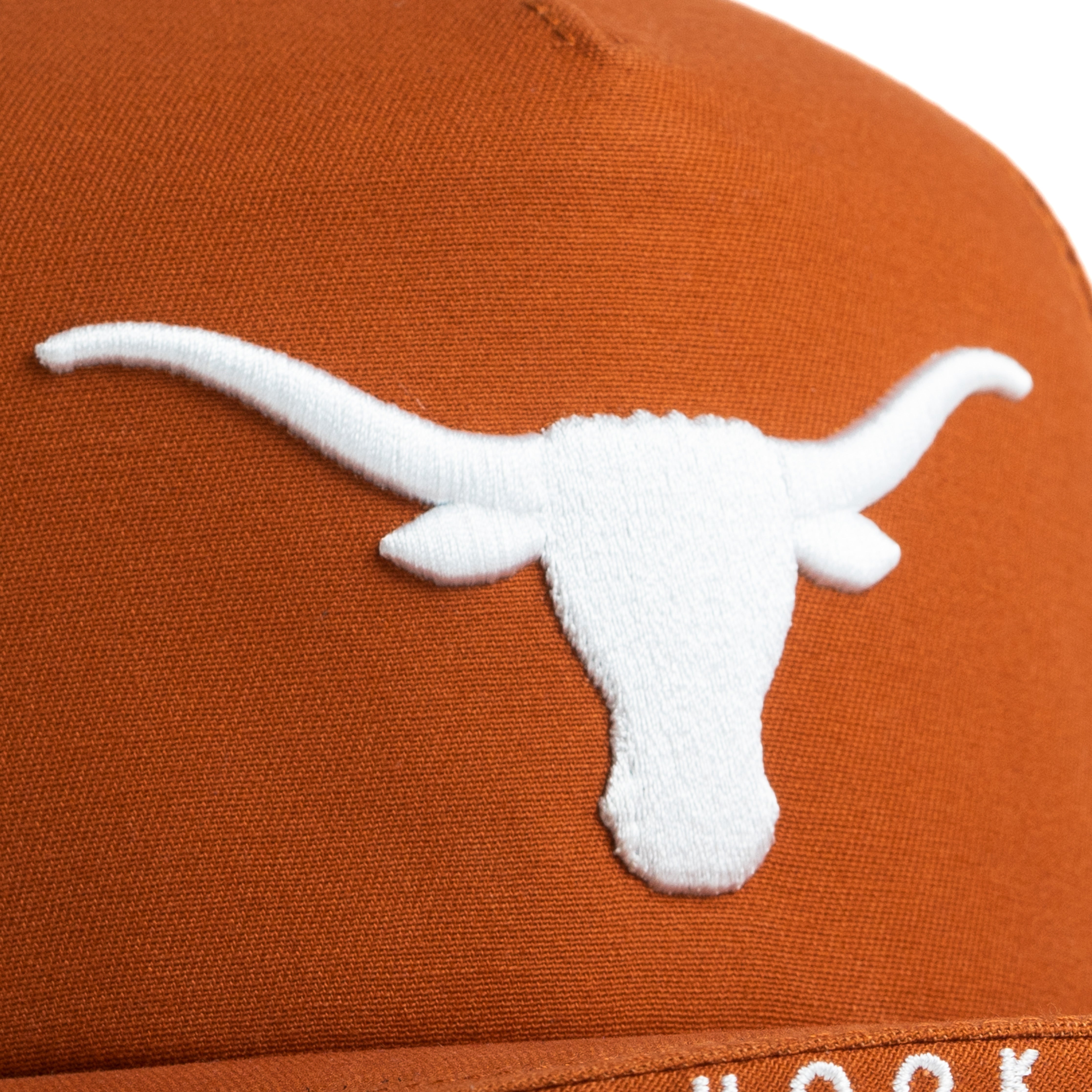 Texas Longhorns $Bill Hat