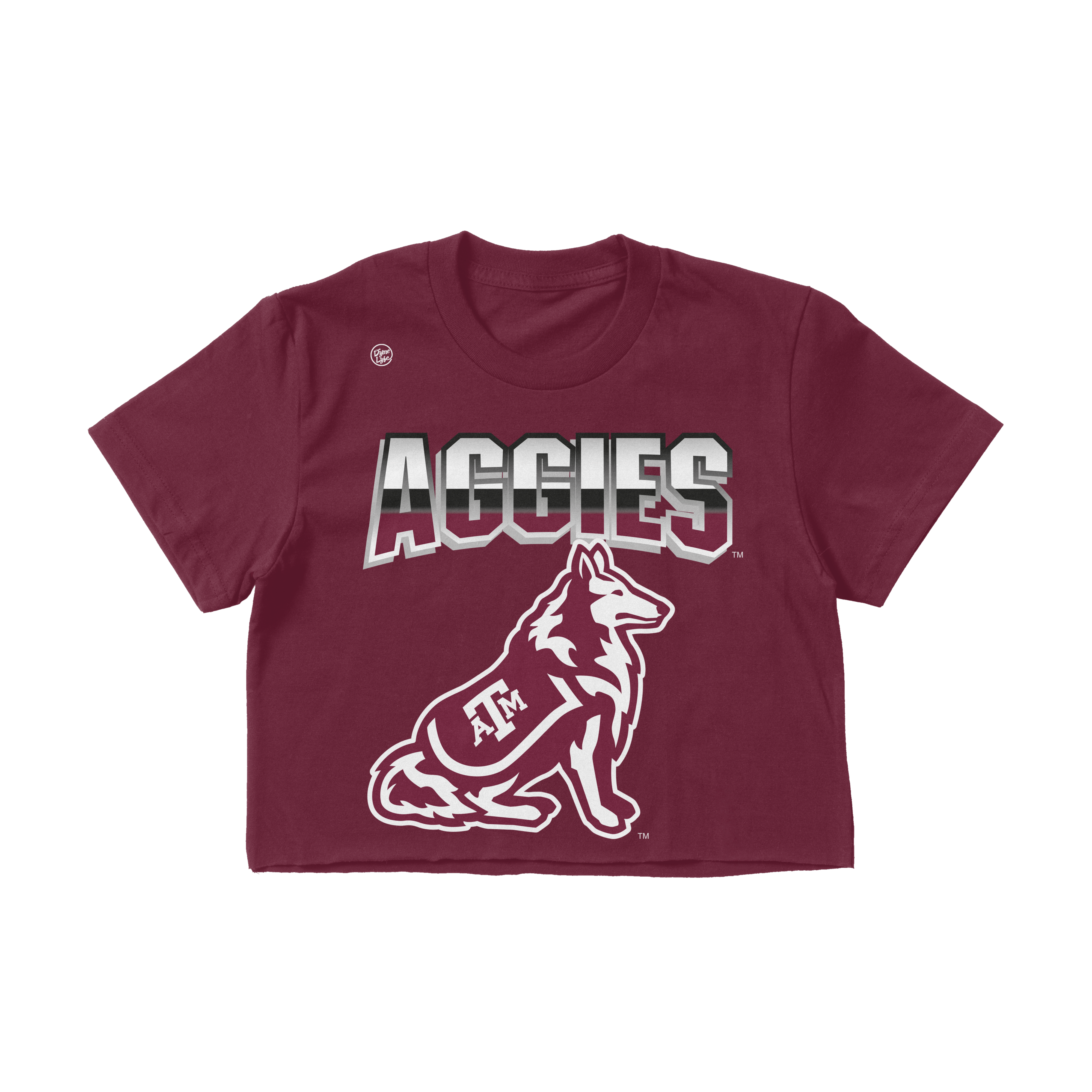 Texas A&M Aggies Women's Big Logo Crop