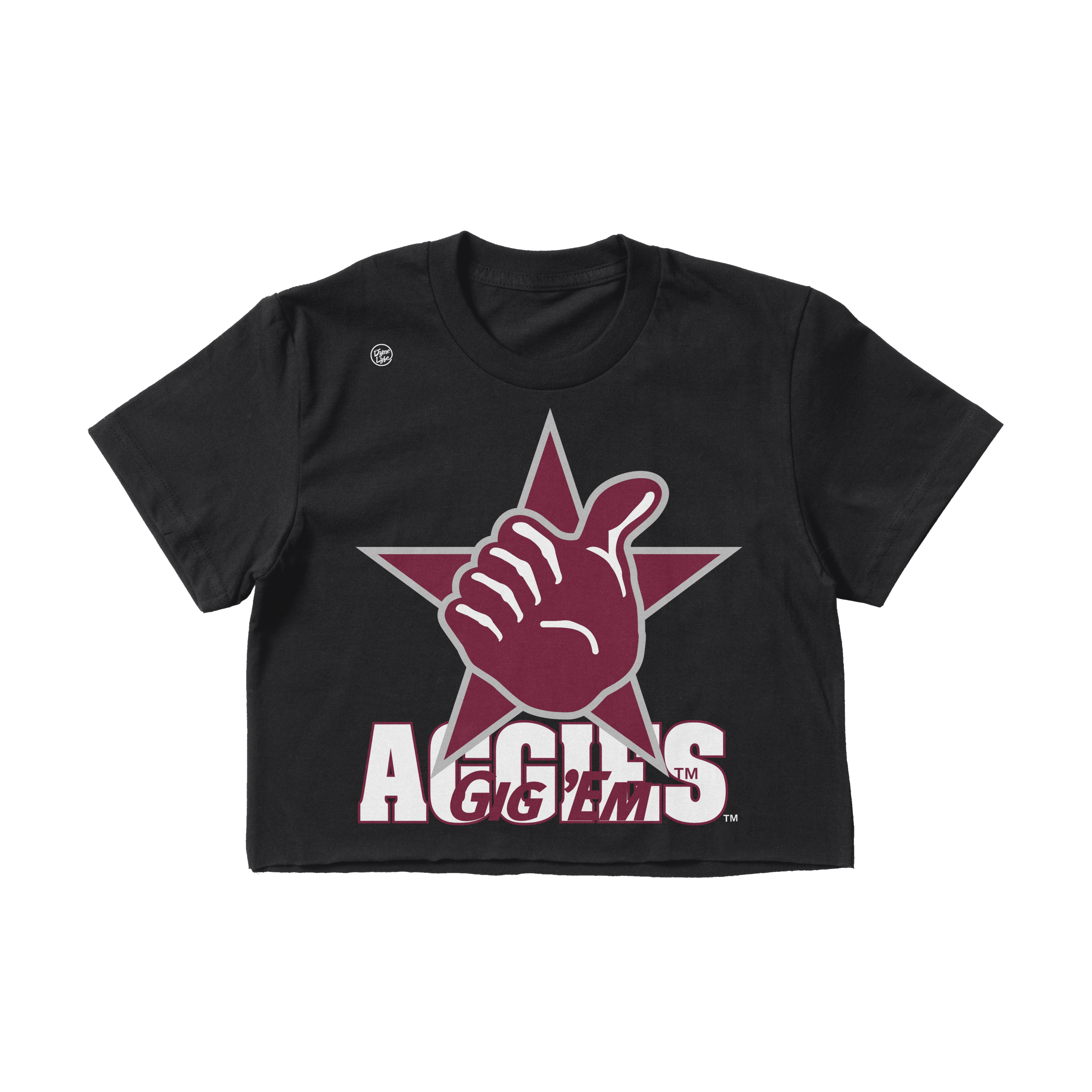 Texas A&M Aggies Women's In The Box Crop