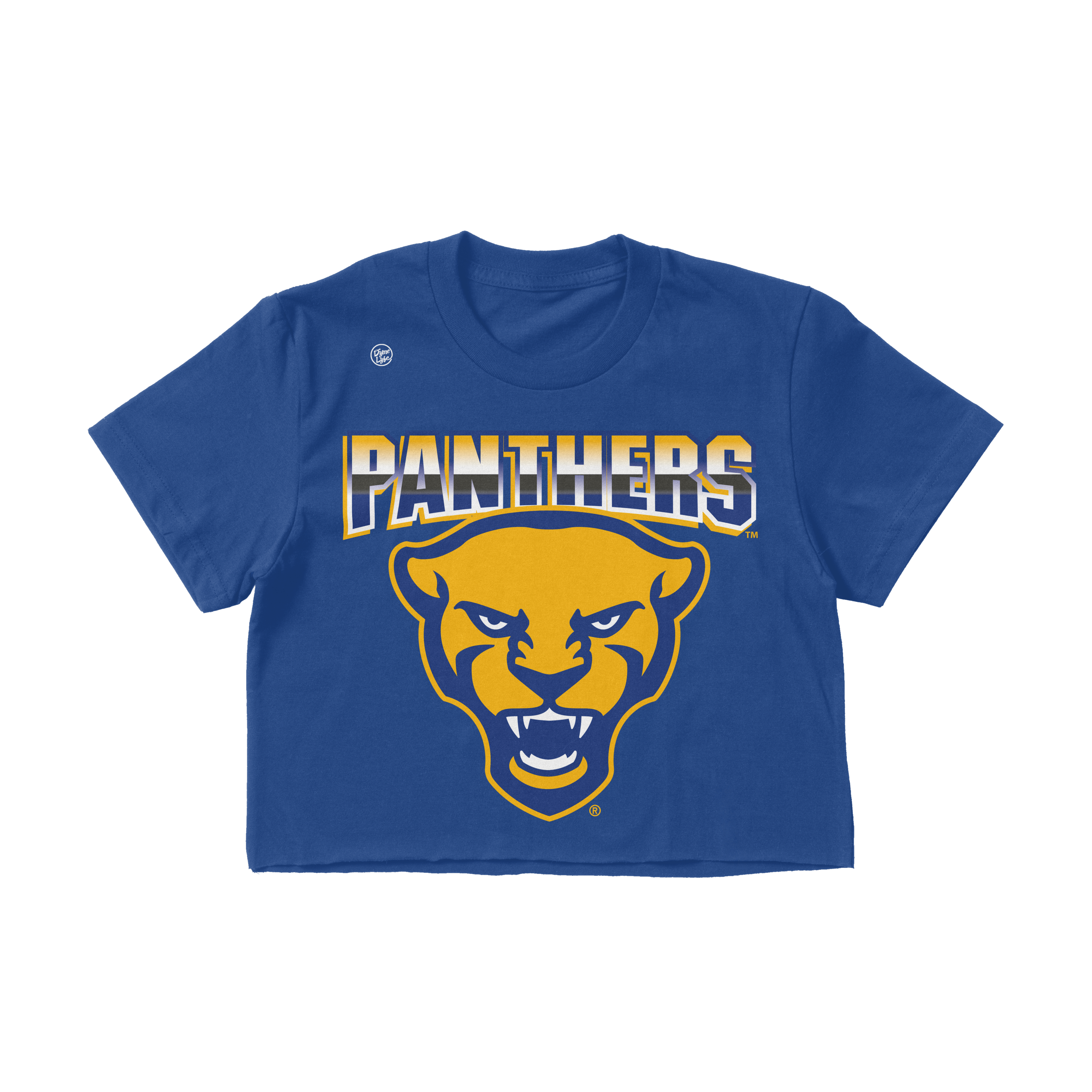 Pittsburgh Panthers Women's Big Logo Crop