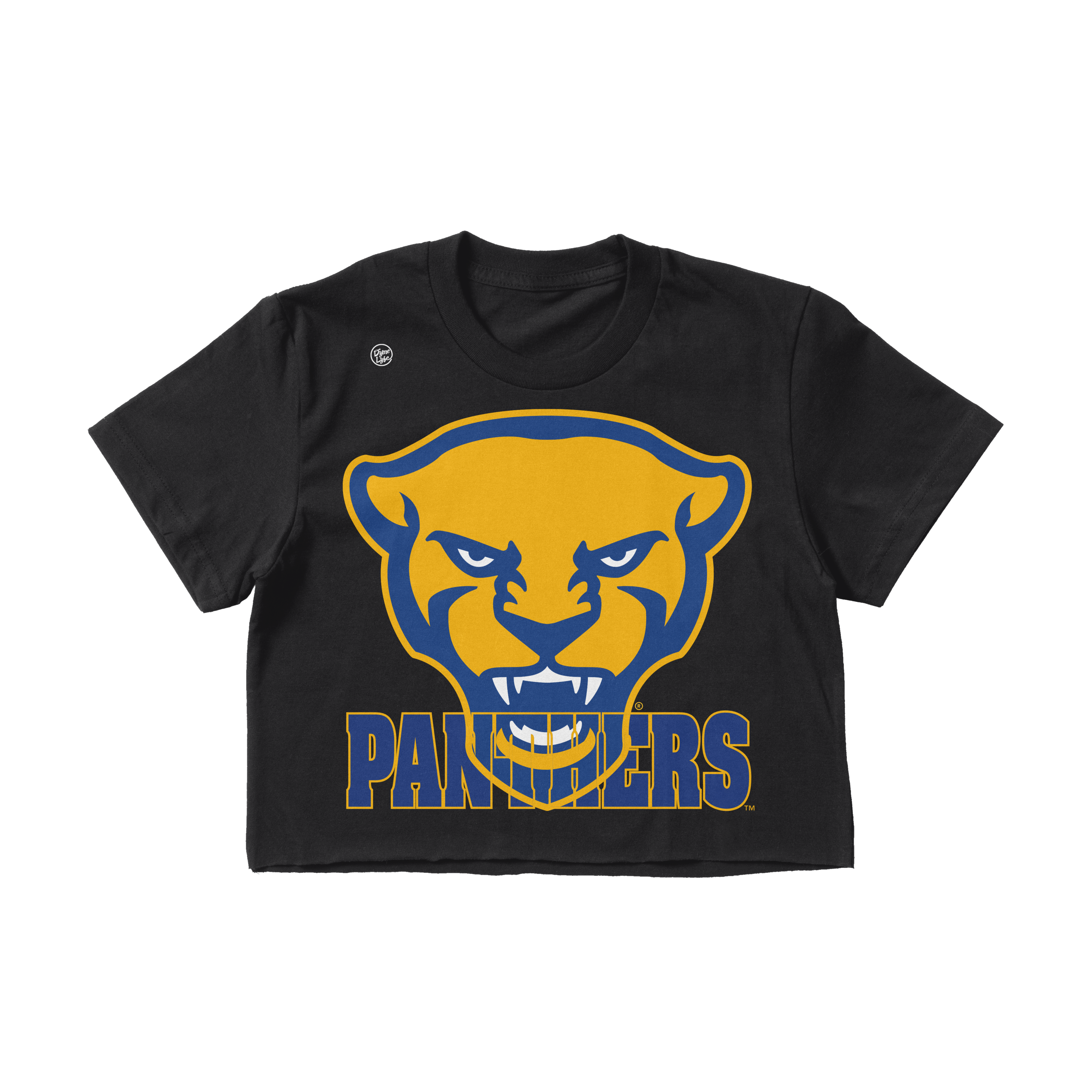 Pittsburgh Panthers Women's In The Box Crop