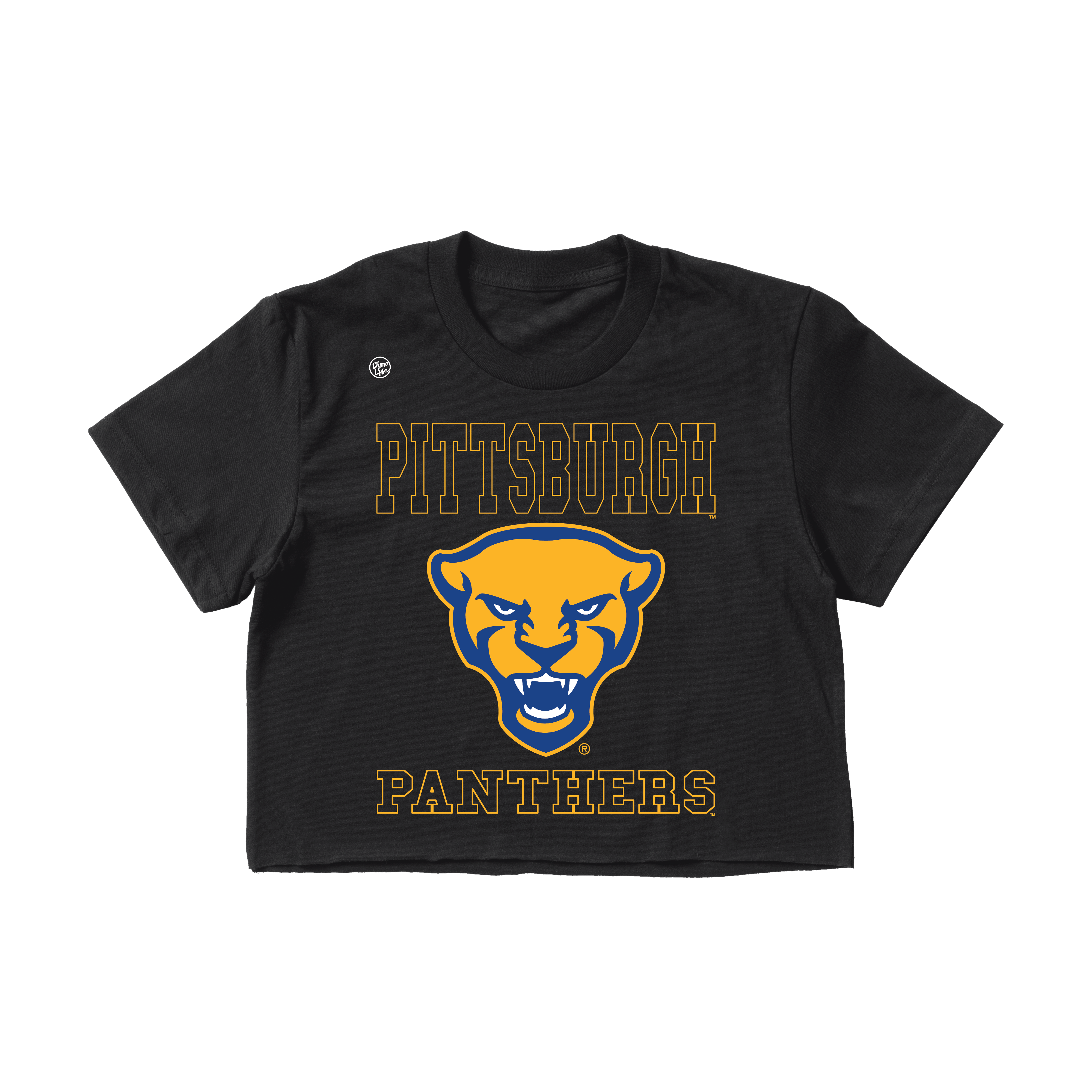 Pittsburgh Panthers Women's Foundation Crop