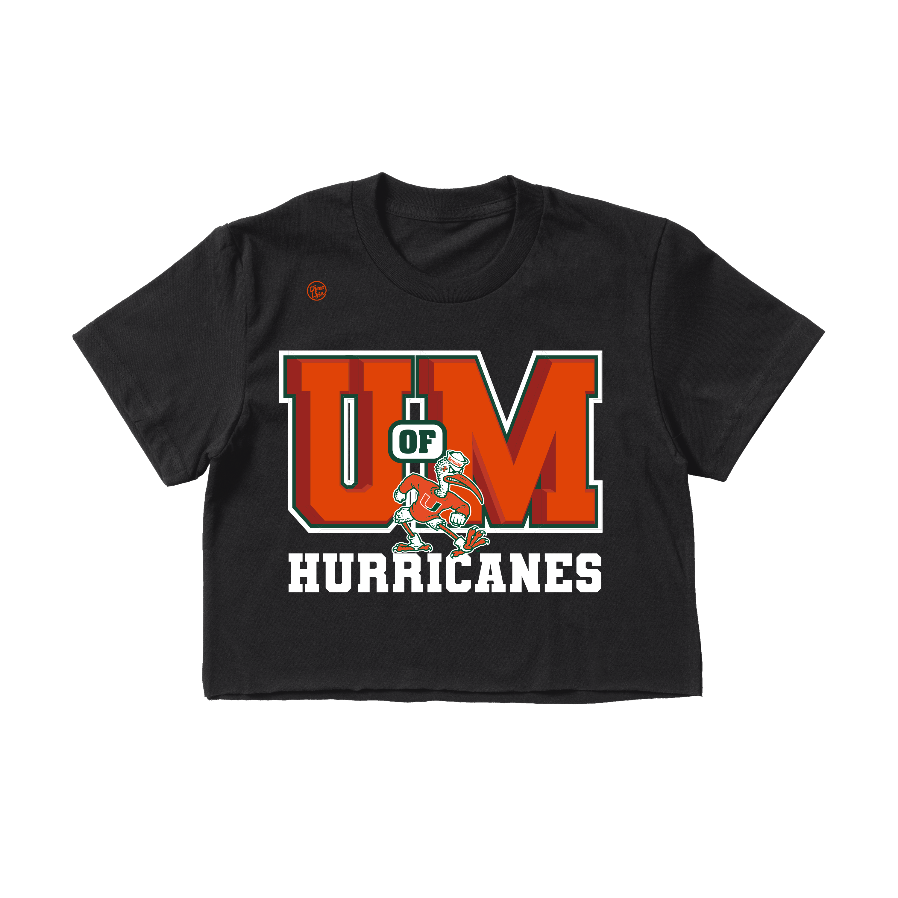 Miami Hurricanes Women's 3D Crop