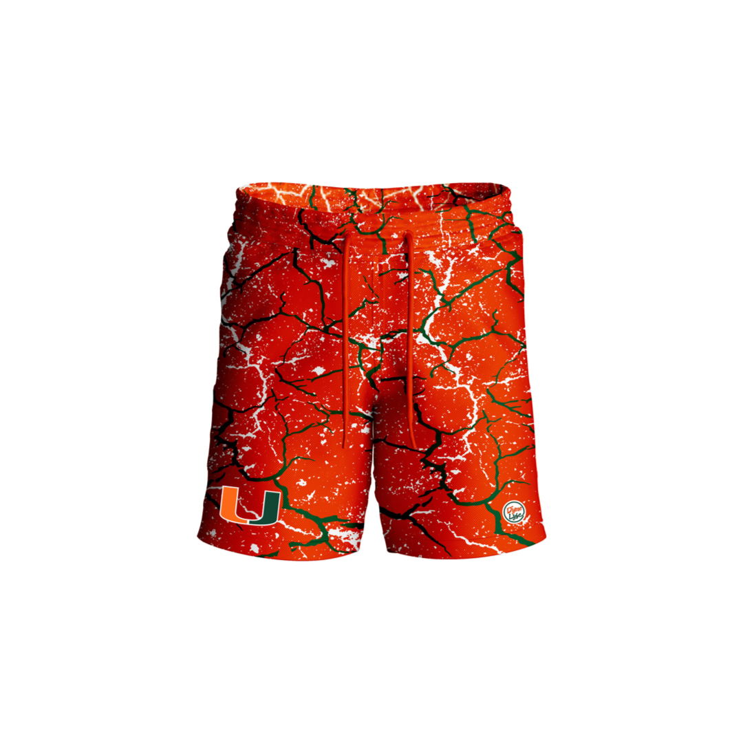 Louis Vuitton Louis Vuitton x NBA Basketball Shorts