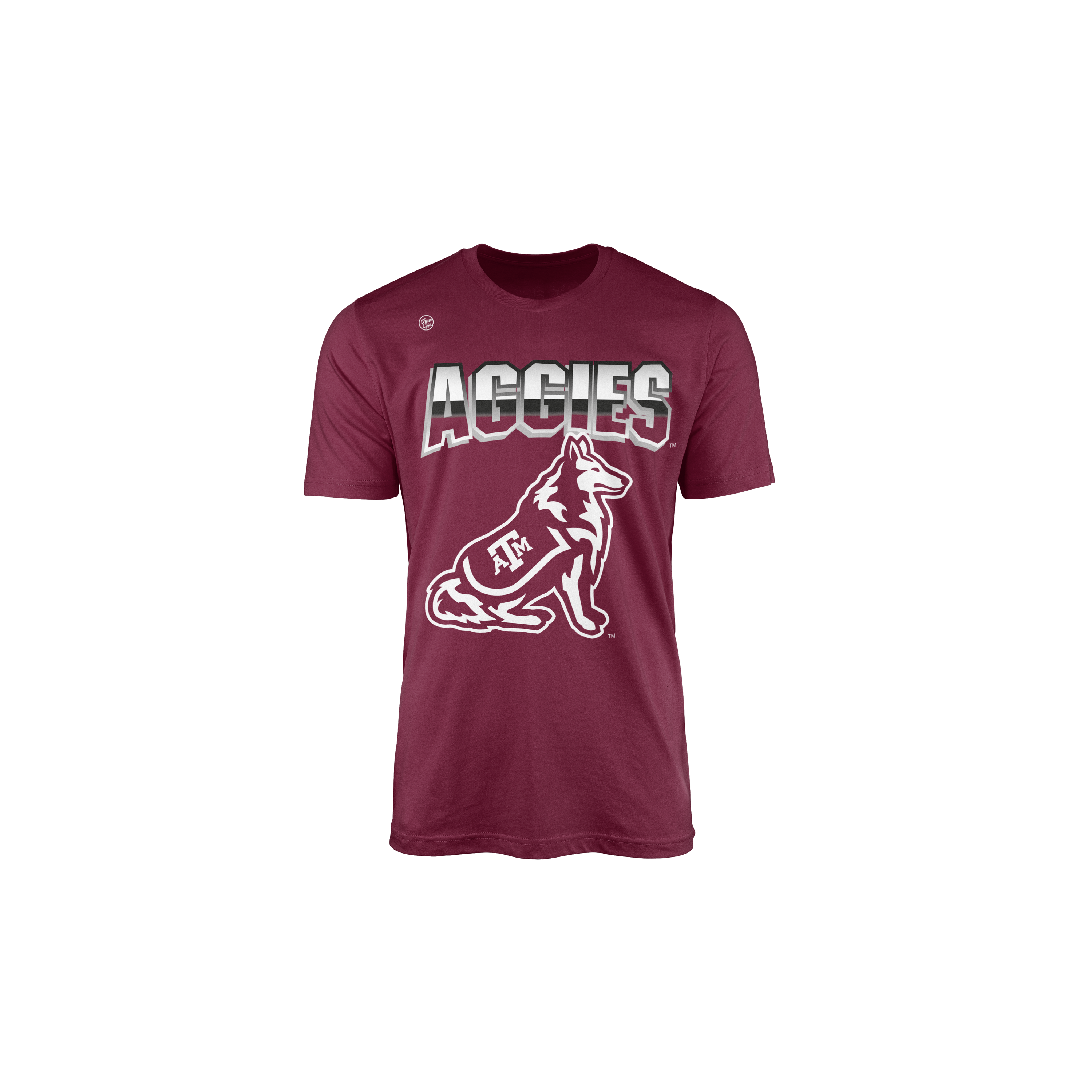 Texas A&M Aggies Youth Big Logo Tee