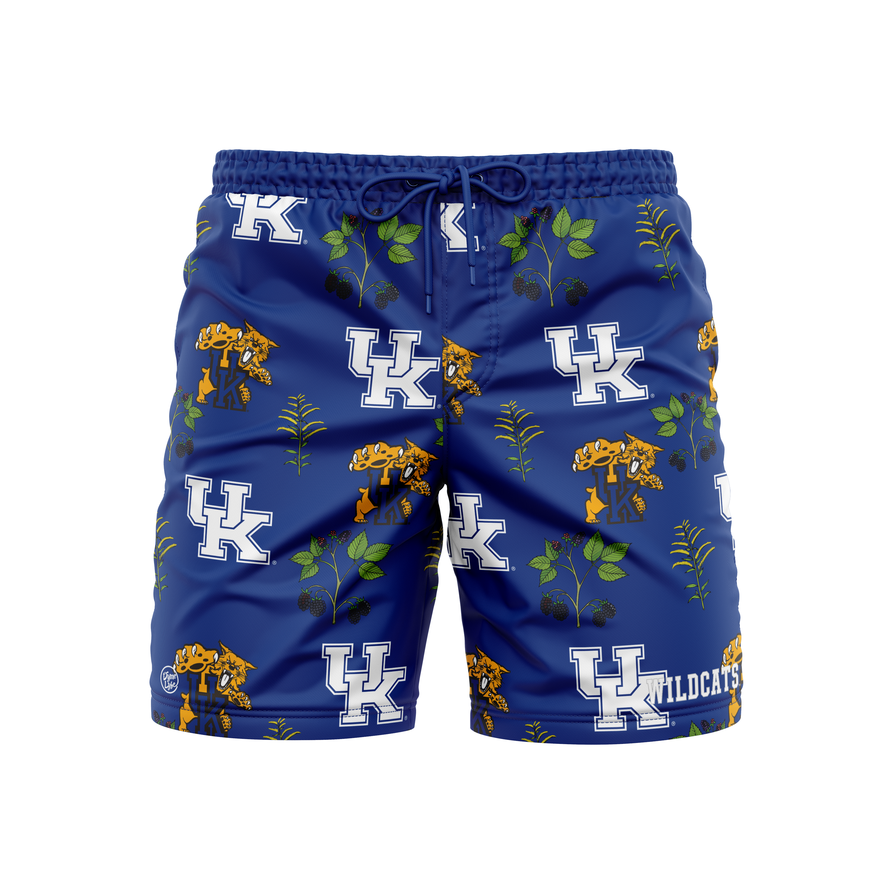 Kentucky Wildcats Men's Logo Print Trunks