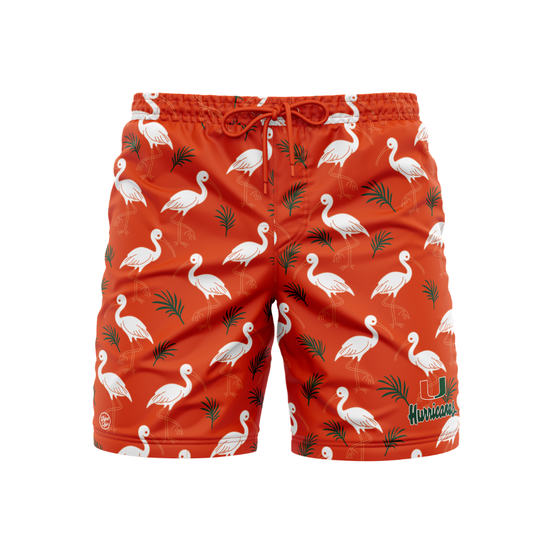 Miami Hurricanes Men's Ibis Palm Trunks