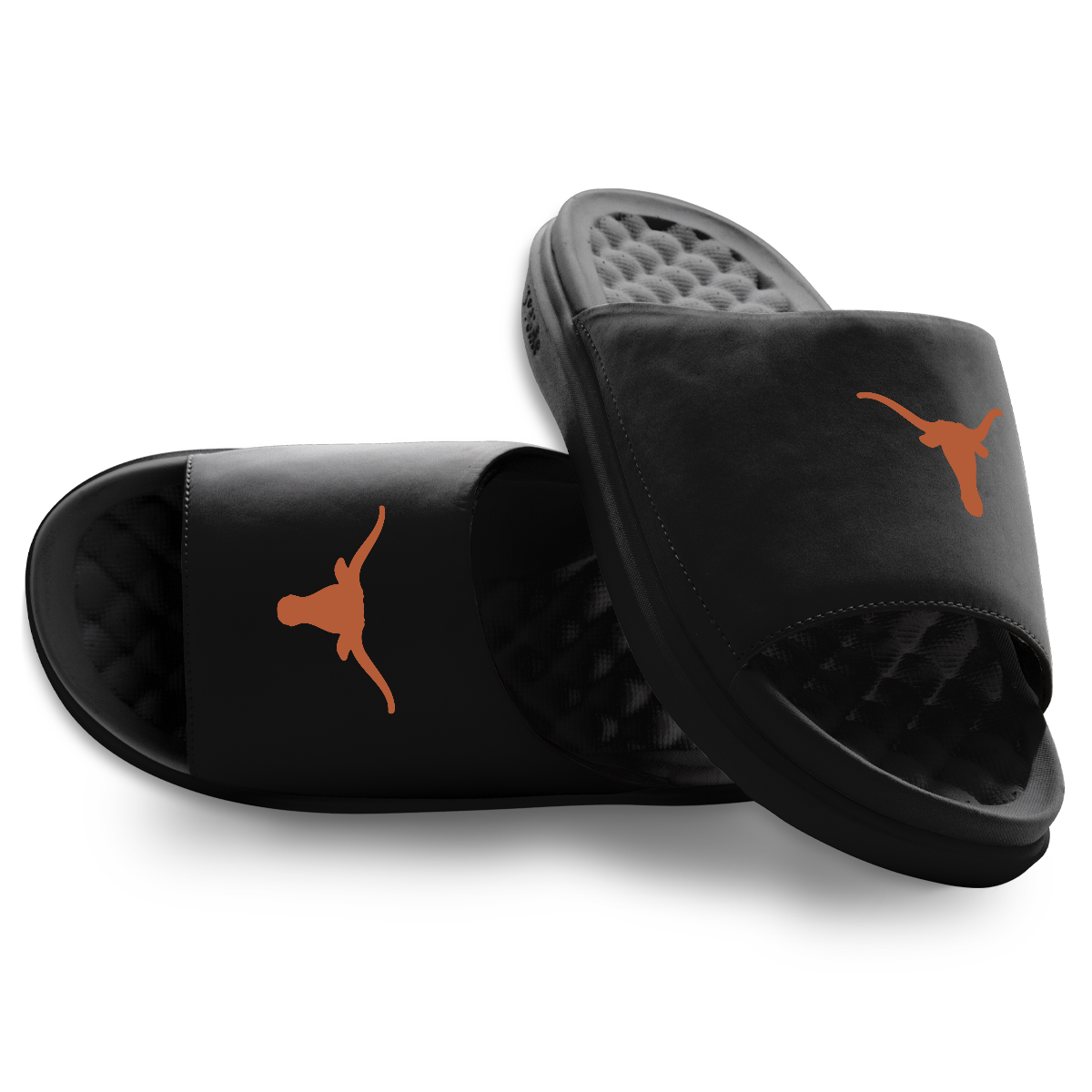 Texas Longhorns Primary Motive