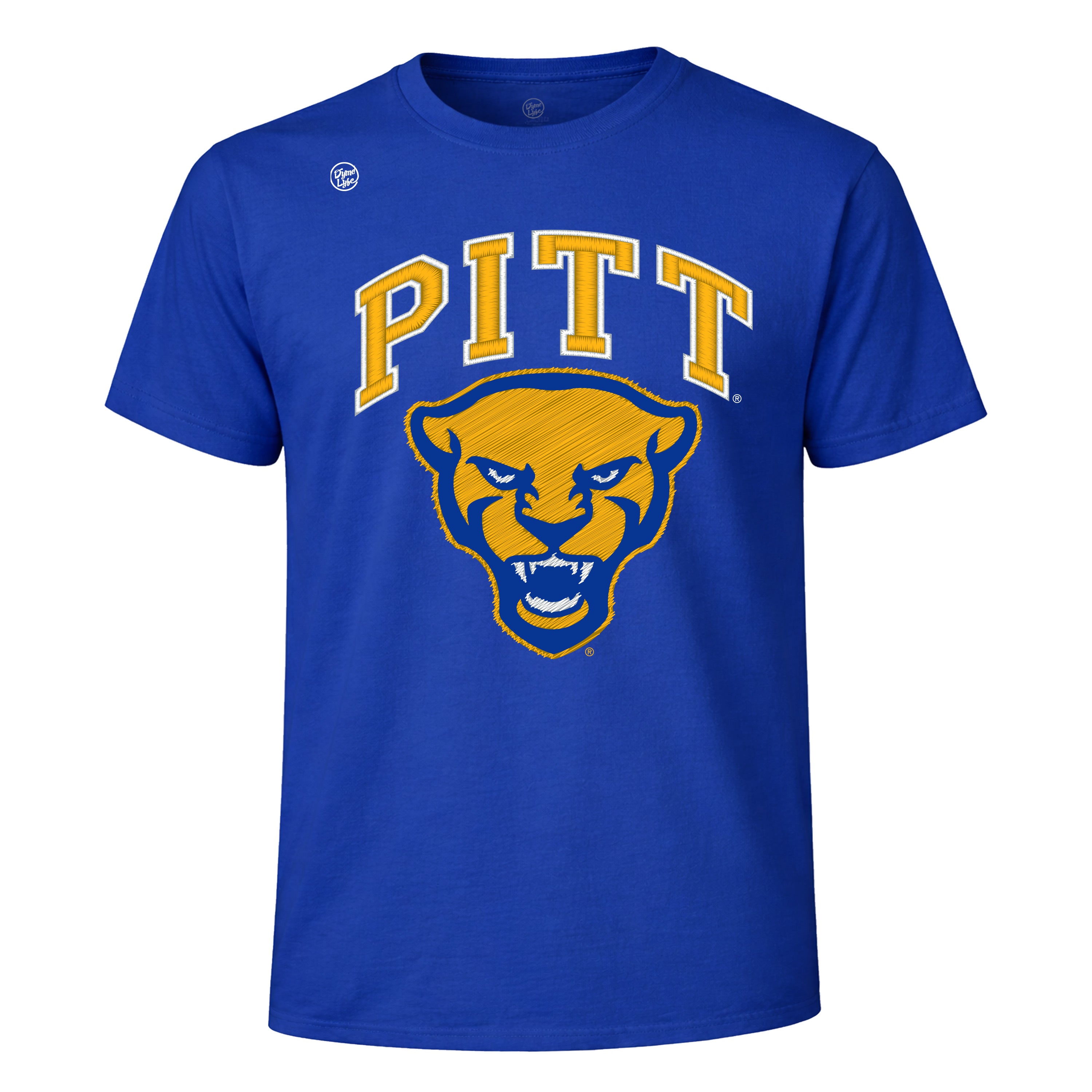 Pittsburgh Panthers Men's Vintage Arch Tee