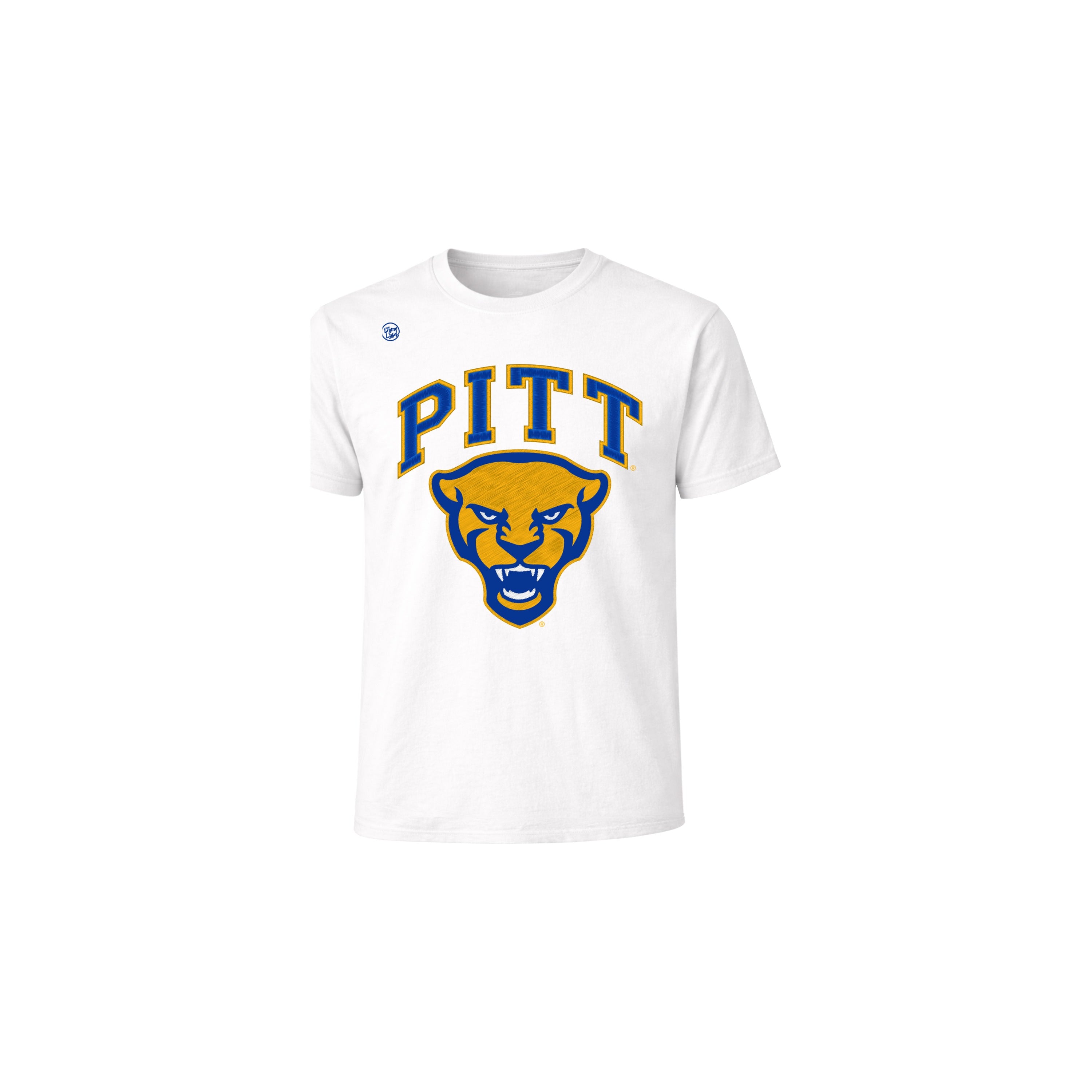 Pittsburgh Panthers Youth Vintage Arch Tee