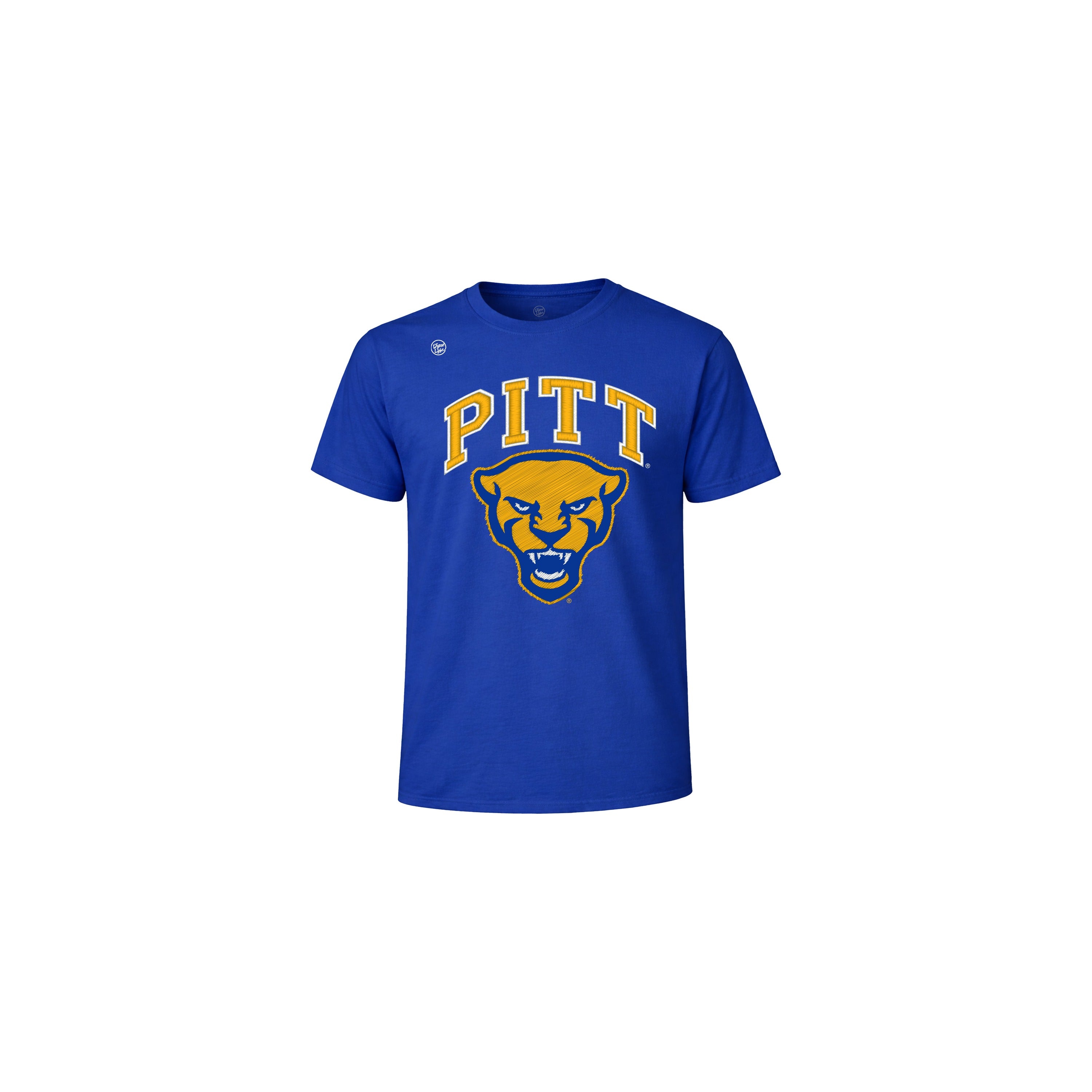 Pittsburgh Panthers Youth Vintage Arch Tee