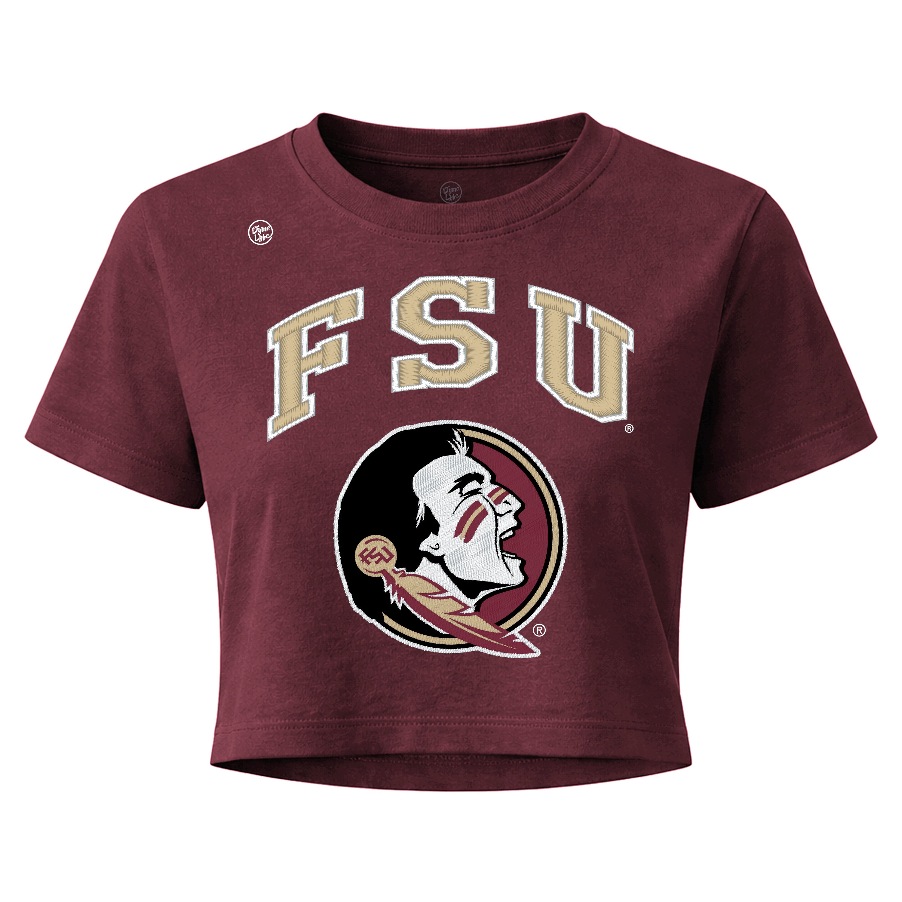 Florida State Seminoles Women's Vintage Arch Crop Top
