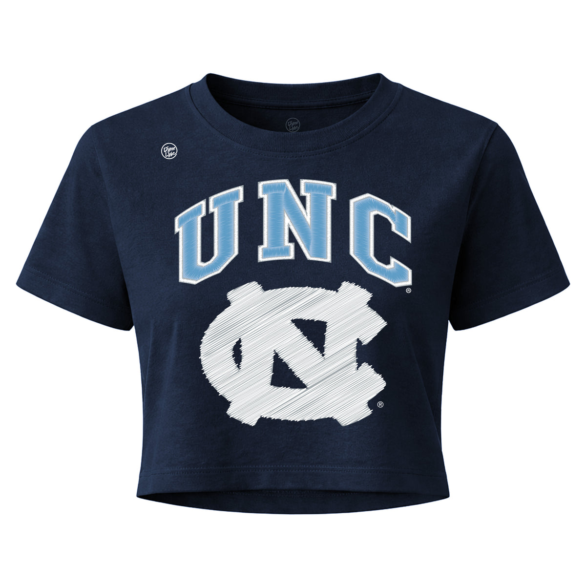 North Carolina Tar Heels Women's Vintage Arch Crop Top