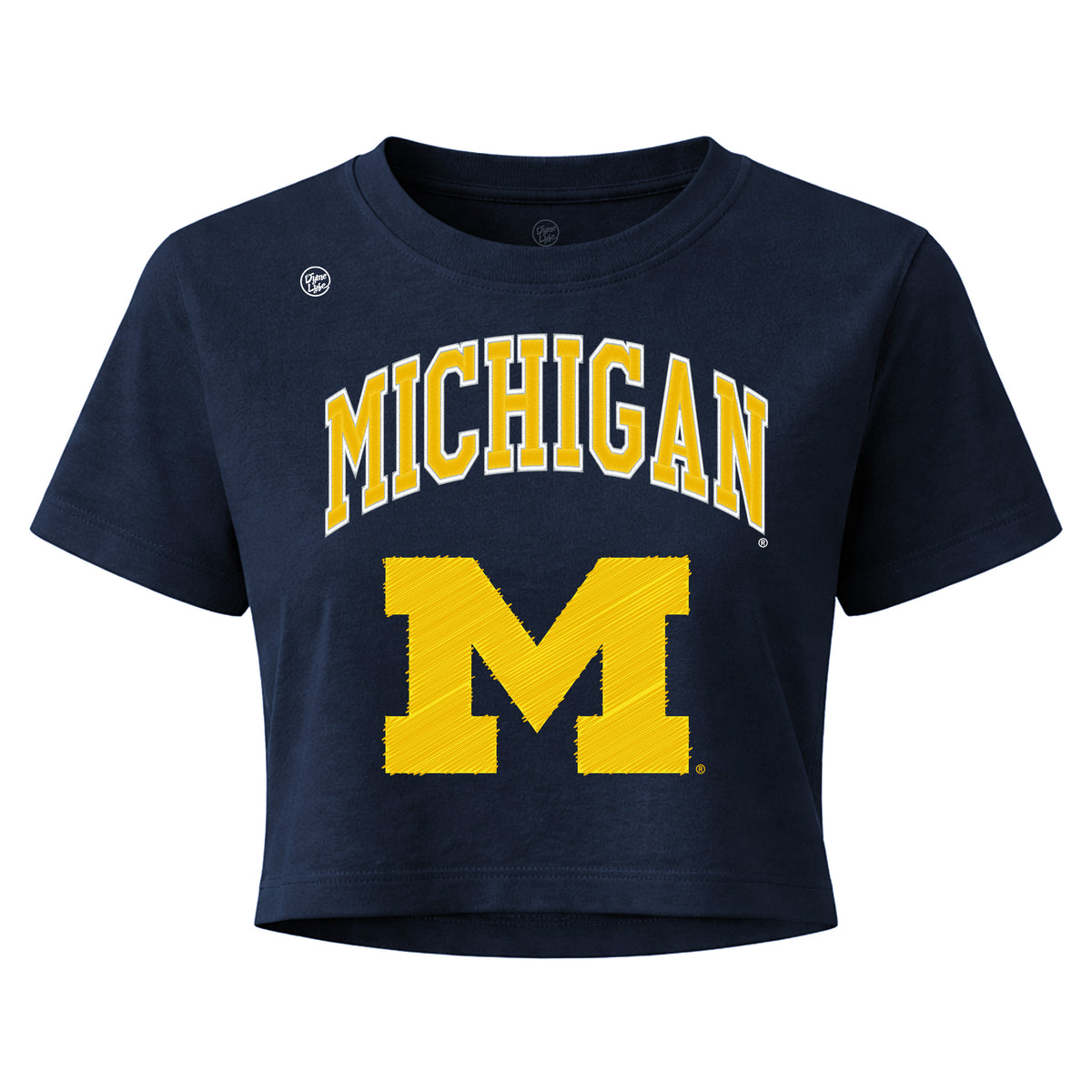 Michigan Wolverines Women's Vintage Arch Crop Top