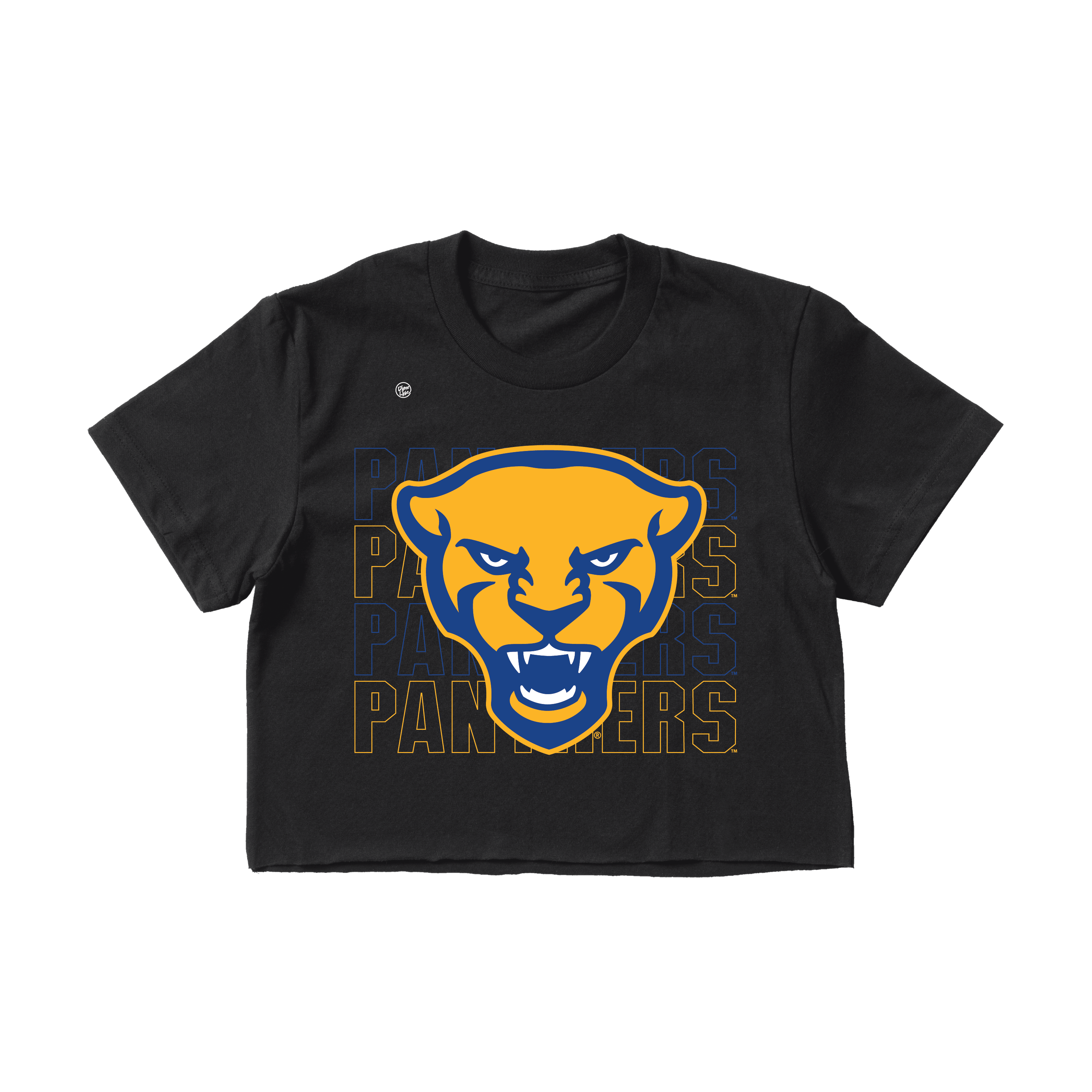 Pittsburgh Panthers Women's Stacked Crop