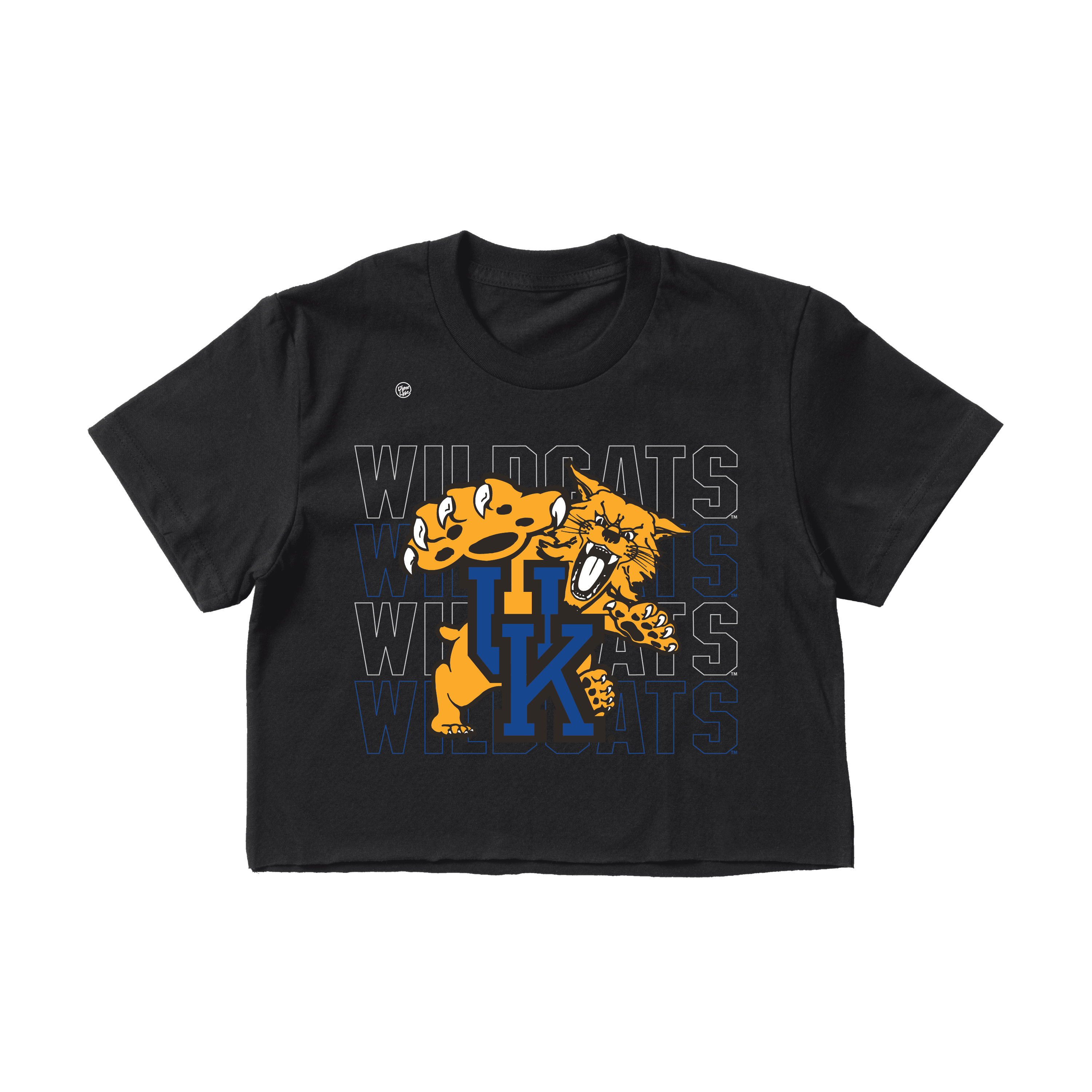 Kentucky Wildcats Women's Stacked Crop