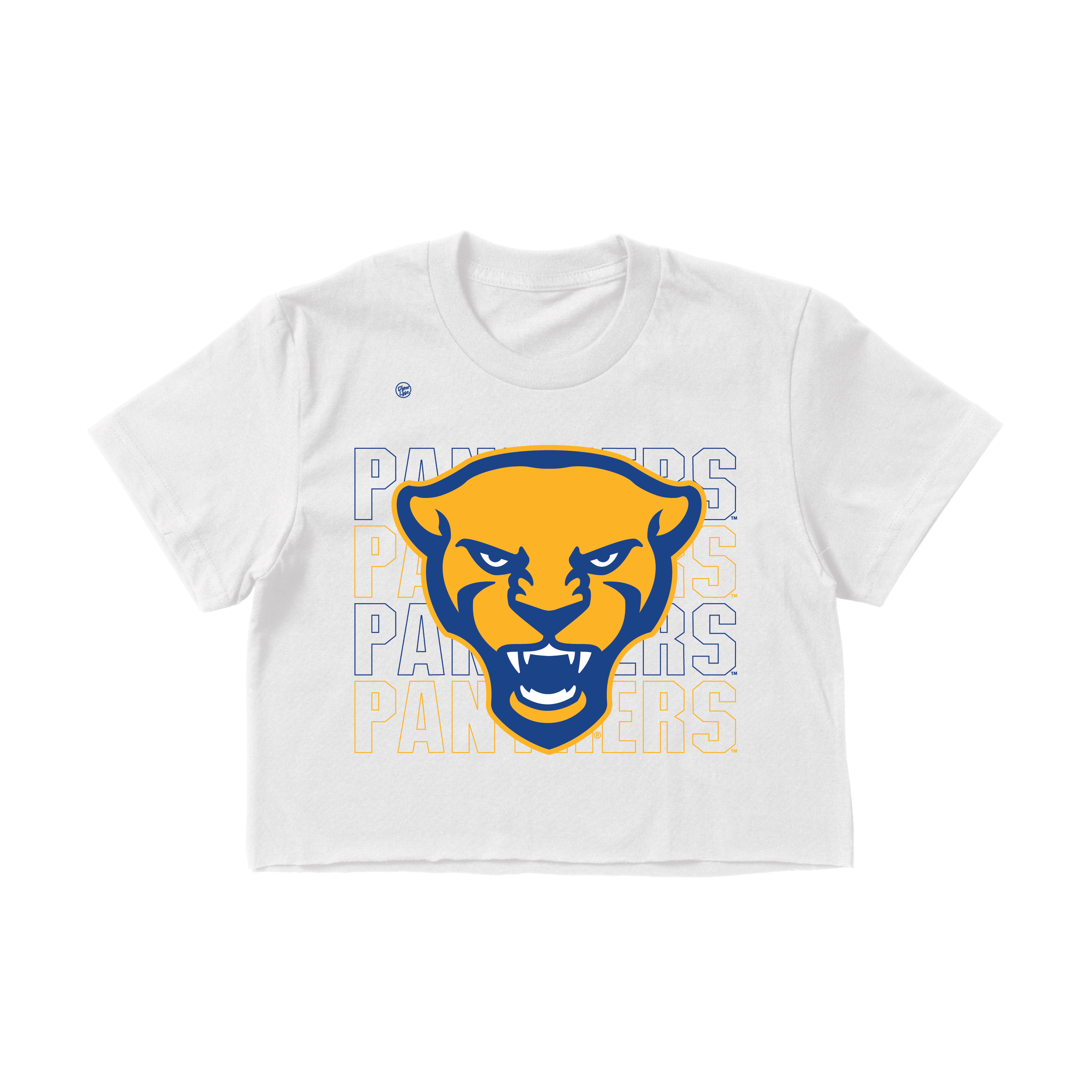 Pittsburgh Panthers Women's Stacked Crop