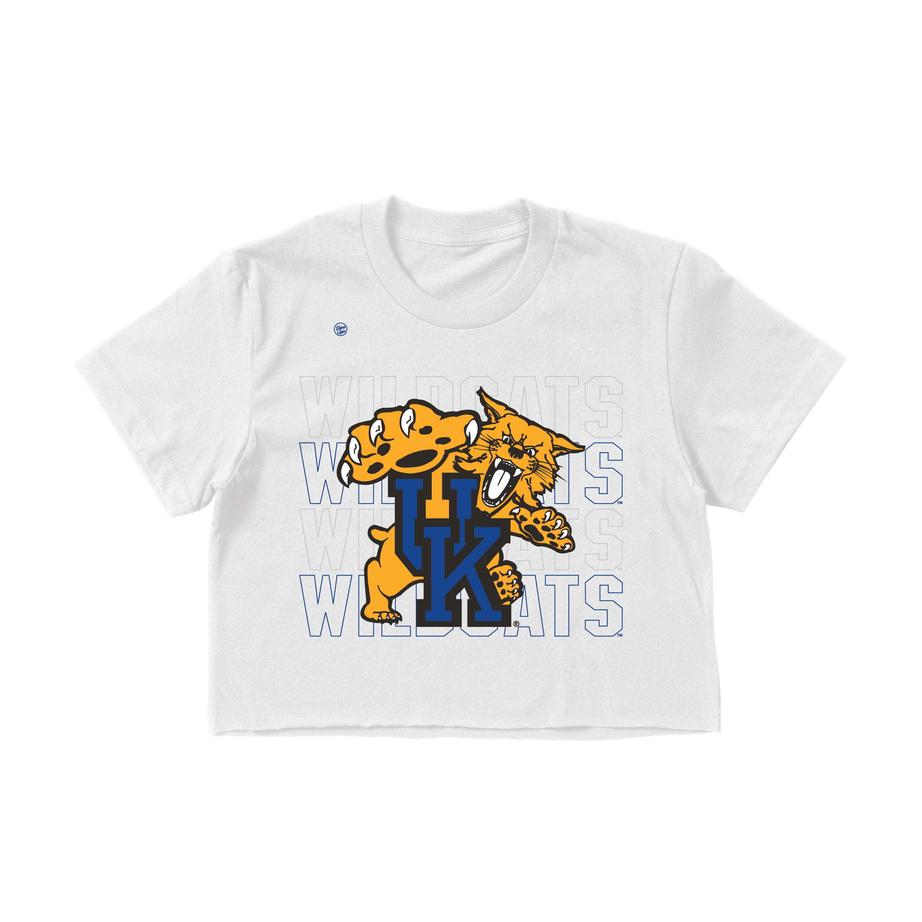 Kentucky Wildcats Women's Stacked Crop