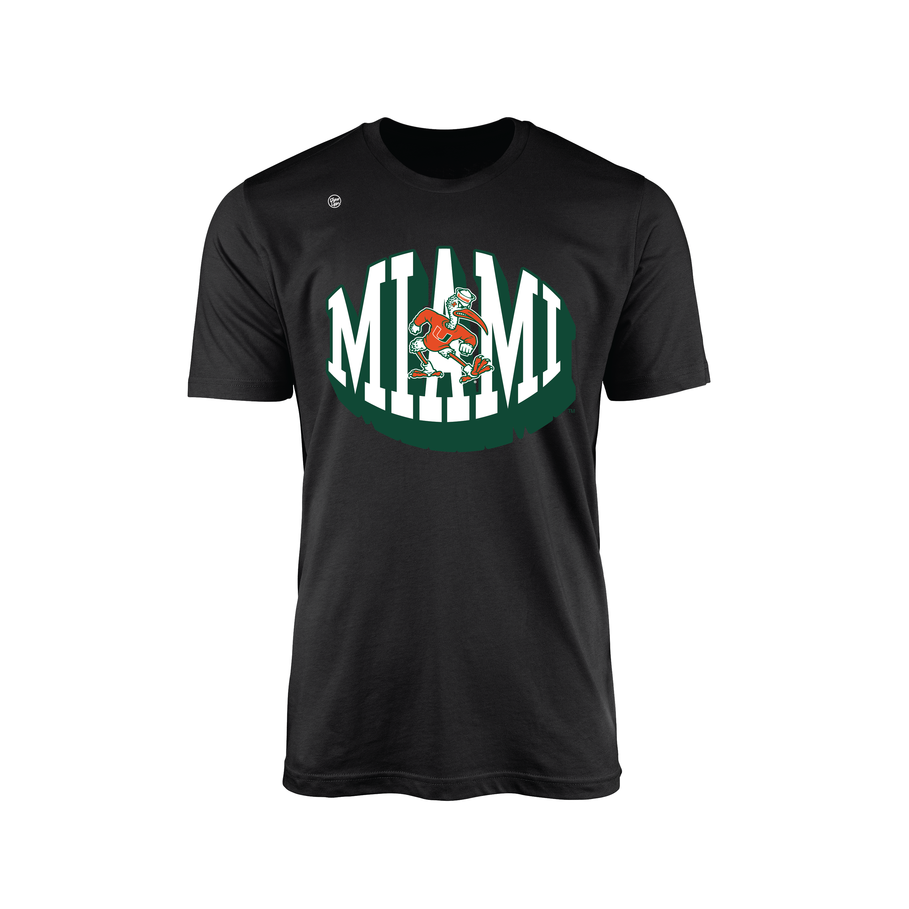 Miami Hurricanes Men's Statement Tee