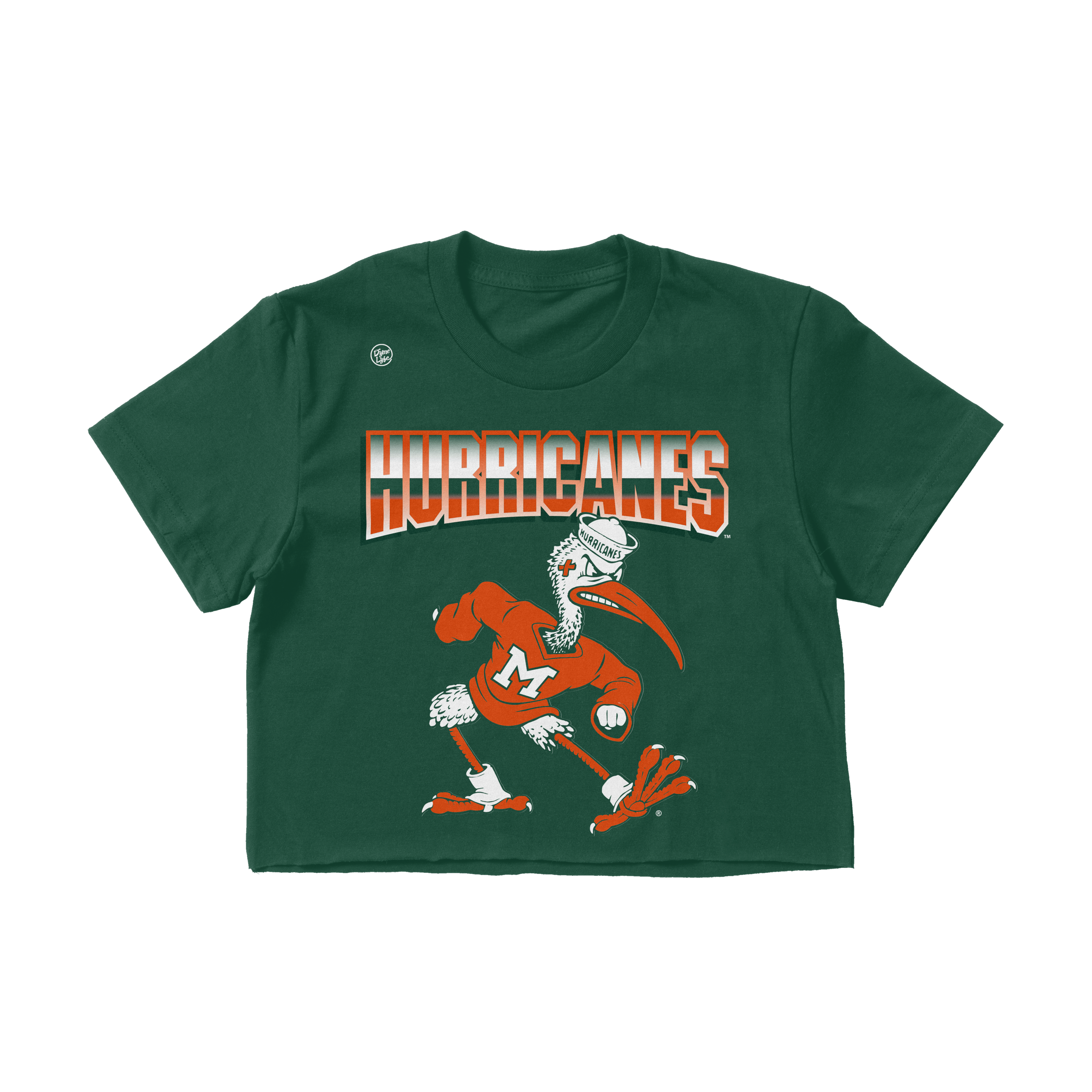 Miami Hurricanes Women's Big Logo Crop