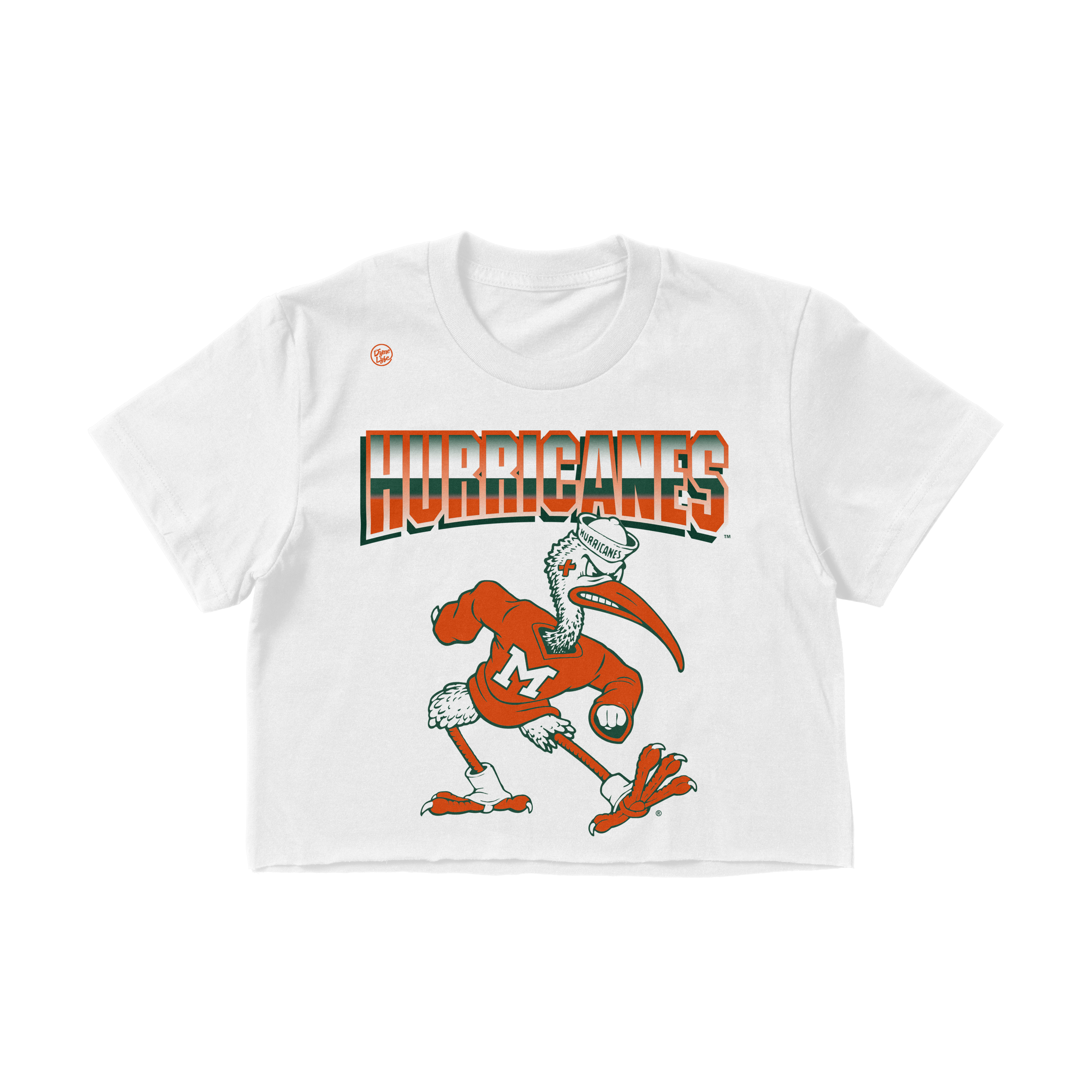 Miami Hurricanes Women's Big Logo Crop