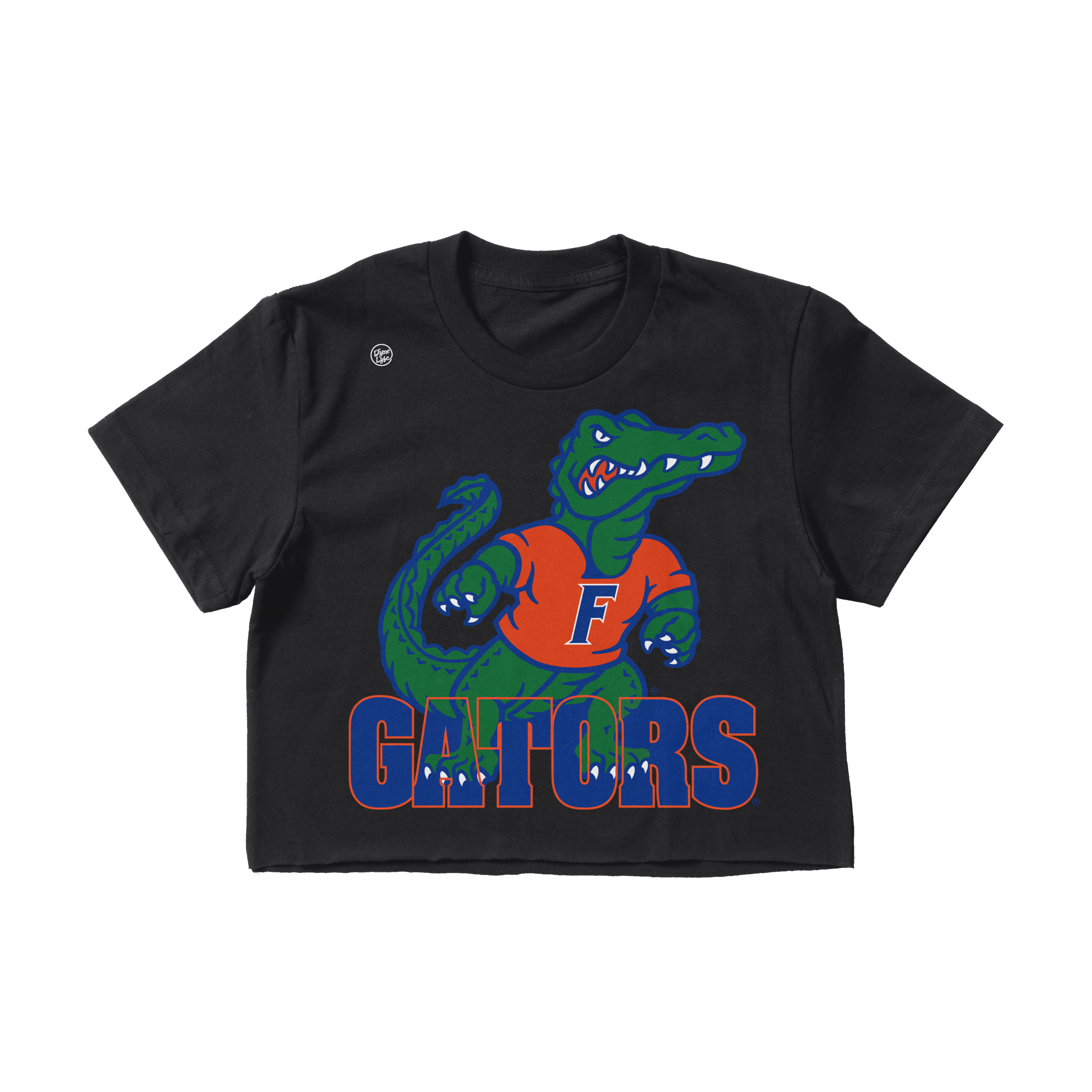 Florida Gators Women's In The Box Crop