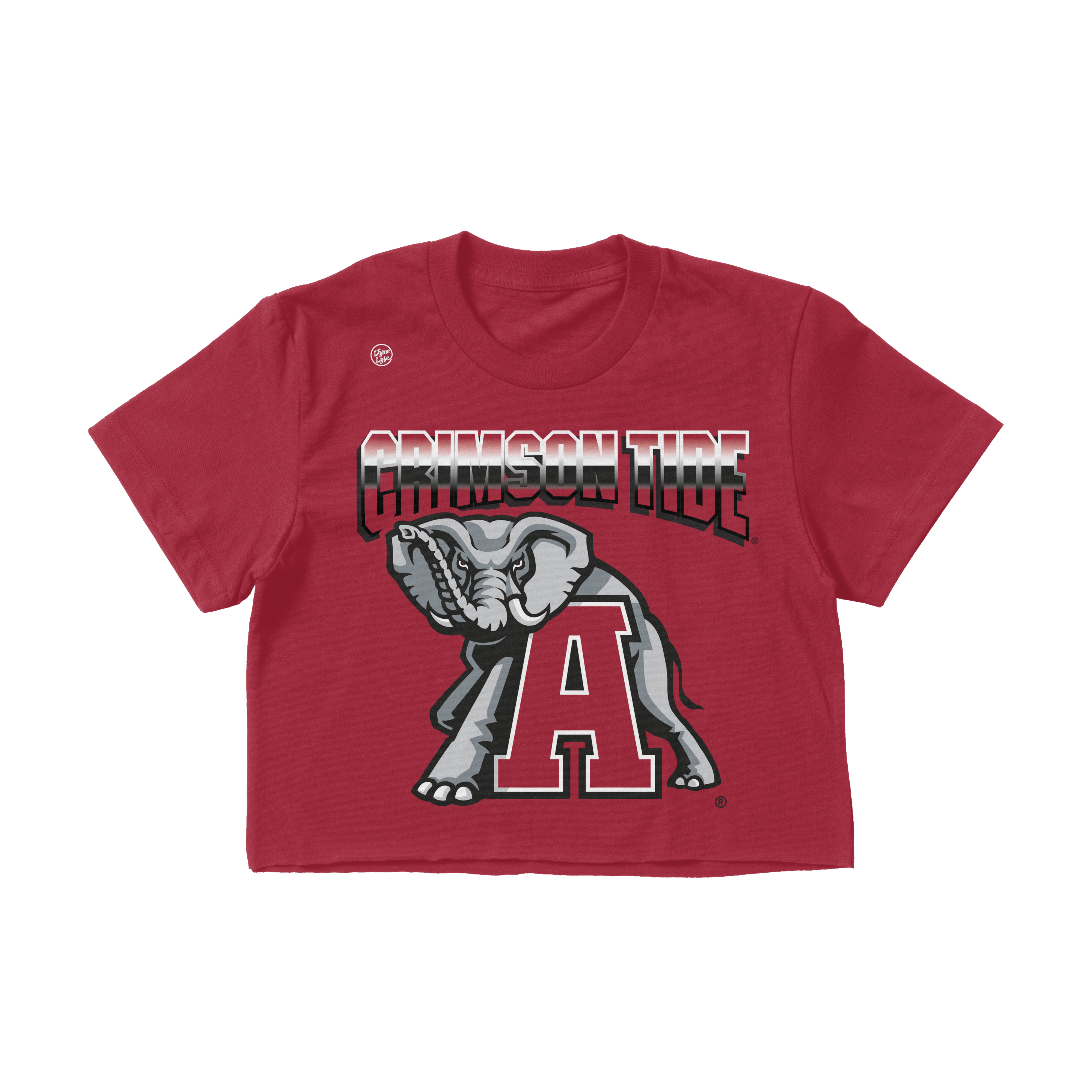 Alabama Crimson Tide Women's Big Logo Crop