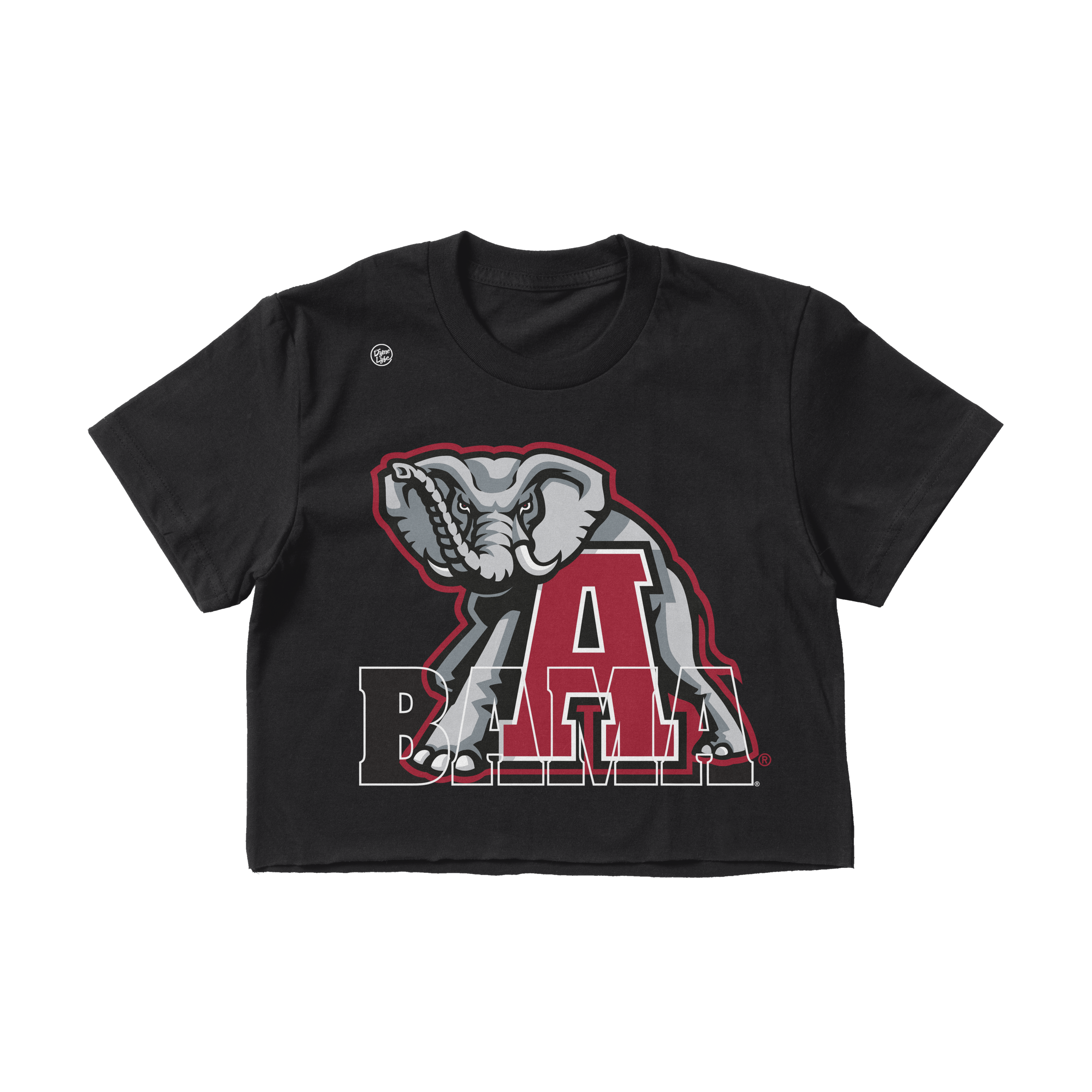 Alabama Crimson Tide Women's In The Box Crop