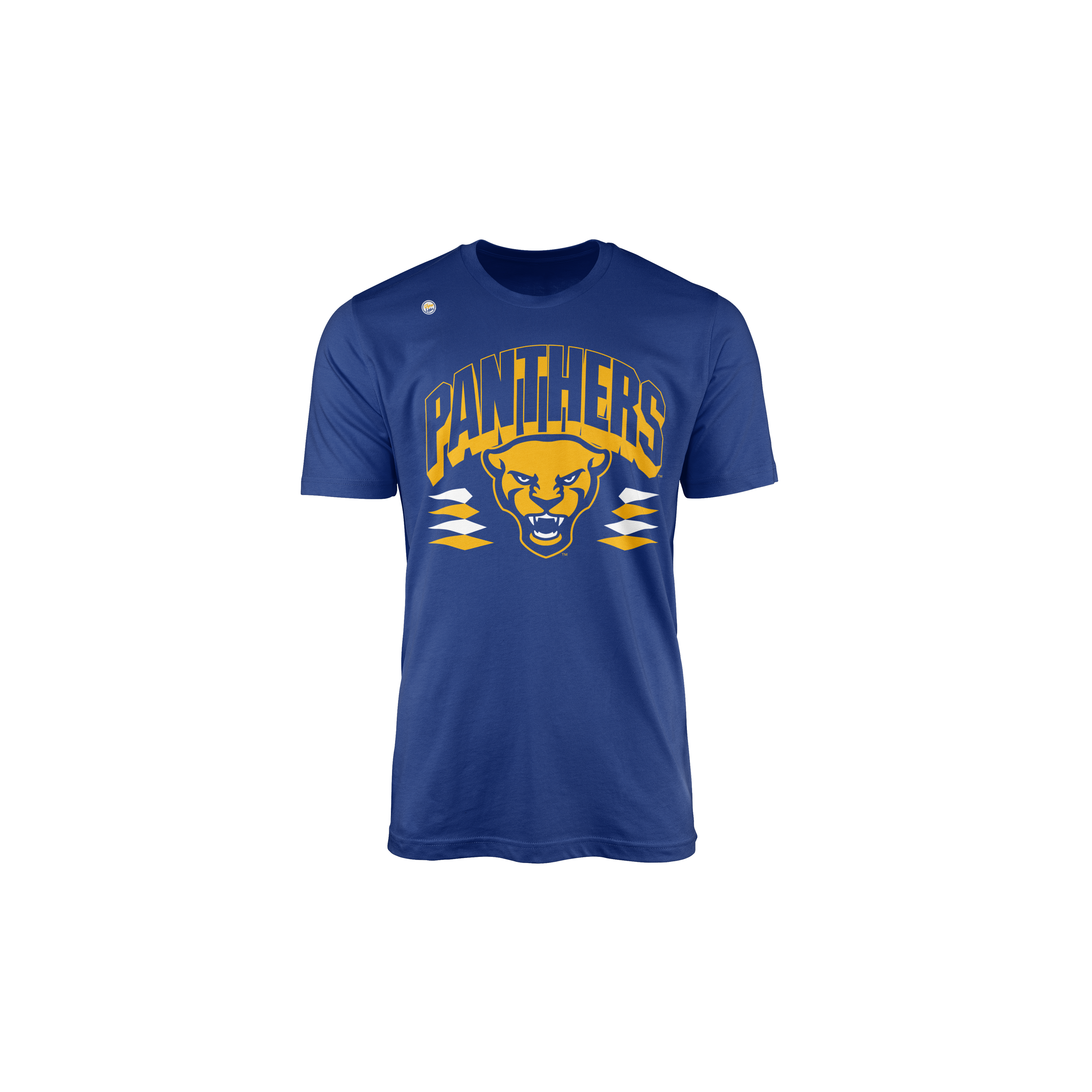 Pittsburgh Panthers Youth Retro Tee