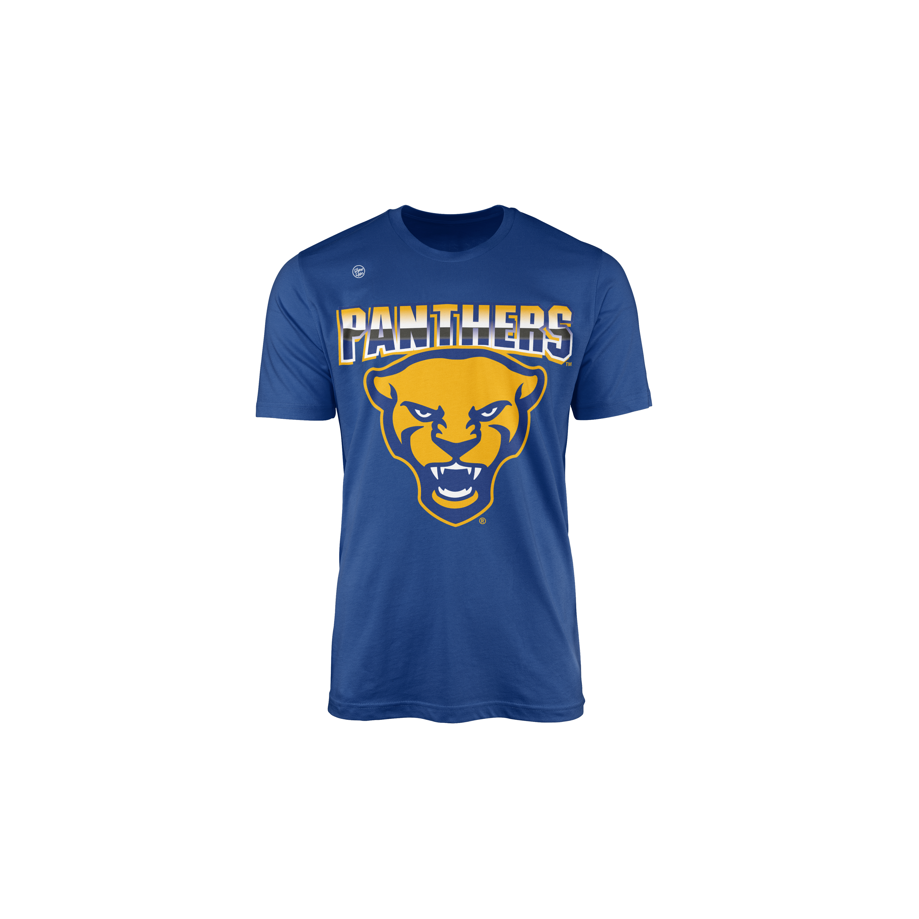 Pittsburgh Panthers Youth Big Logo Tee