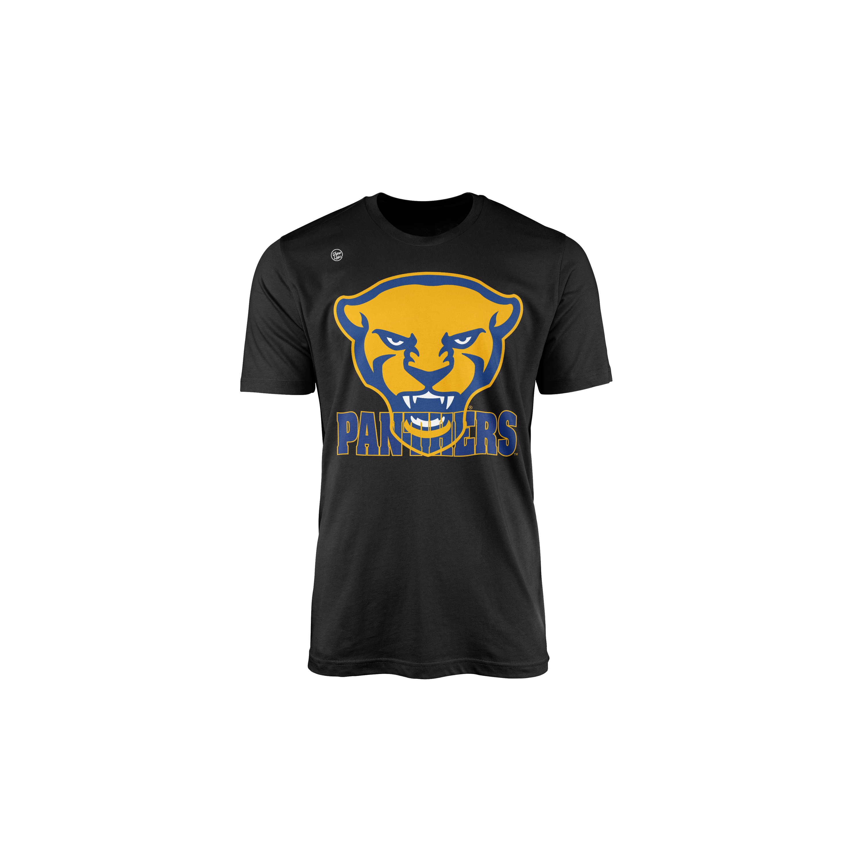 Pittsburgh Panthers Youth in the Box Tee