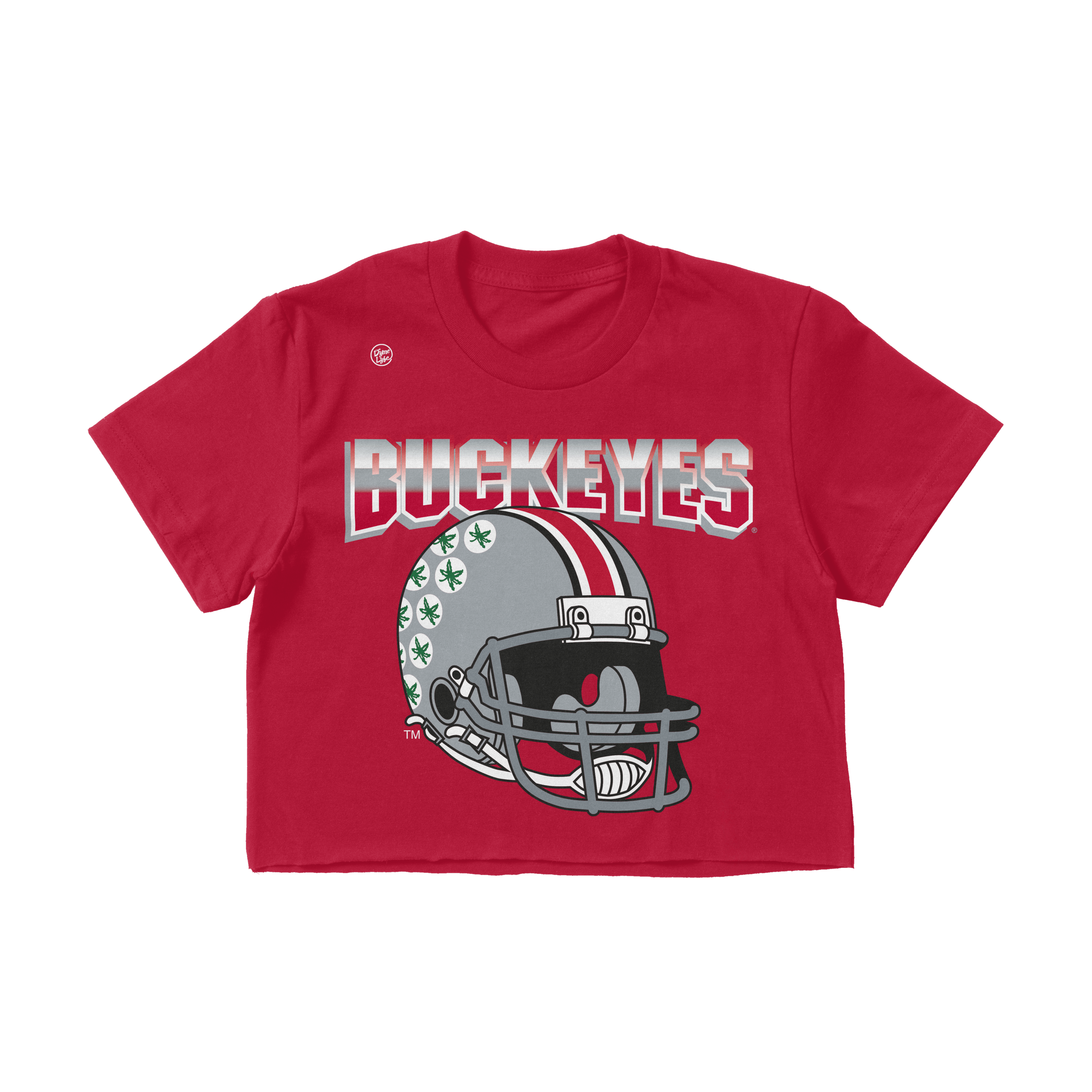 Ohio State Buckeyes Women's Big Logo Crop