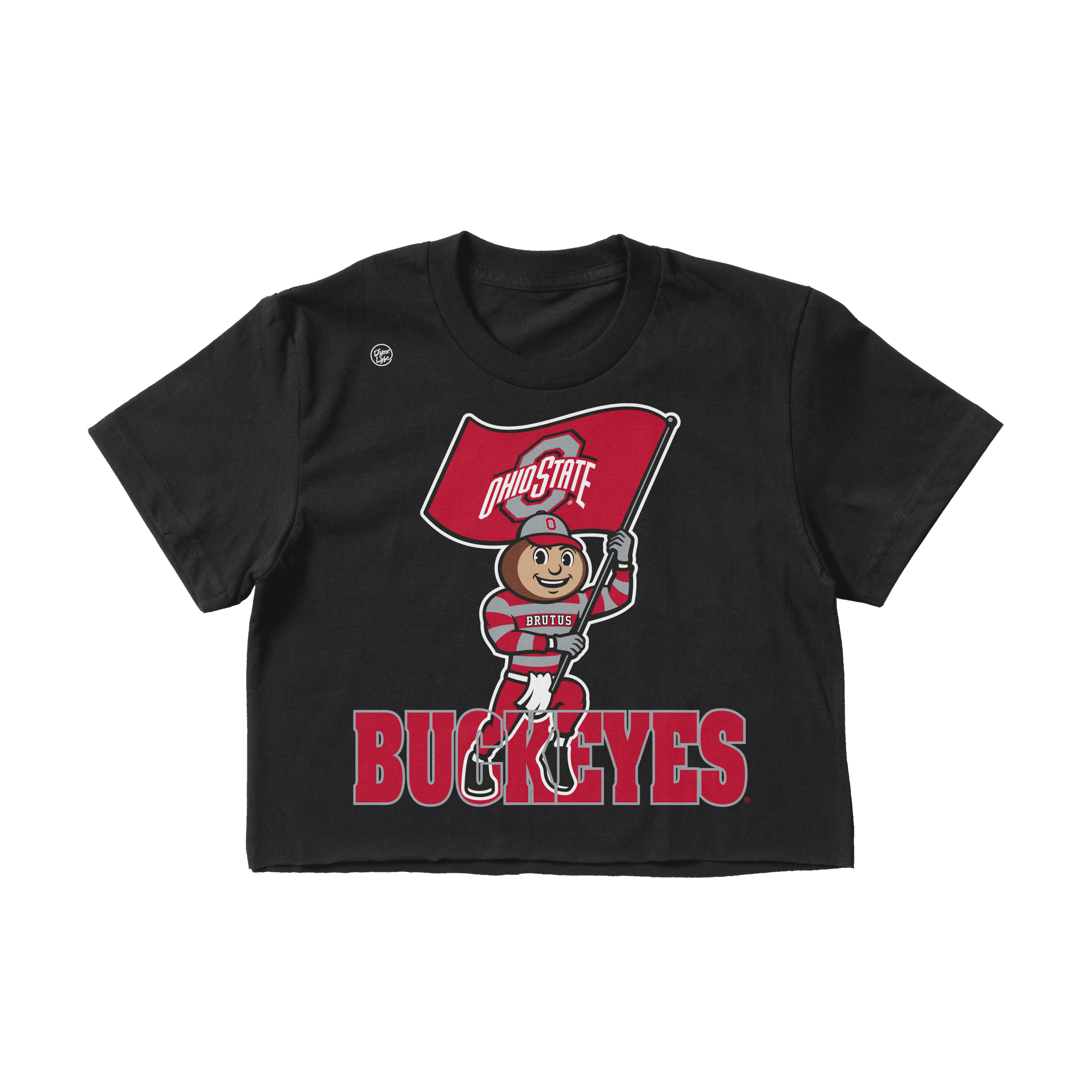 Ohio State Buckeyes Women's In The Box Crop