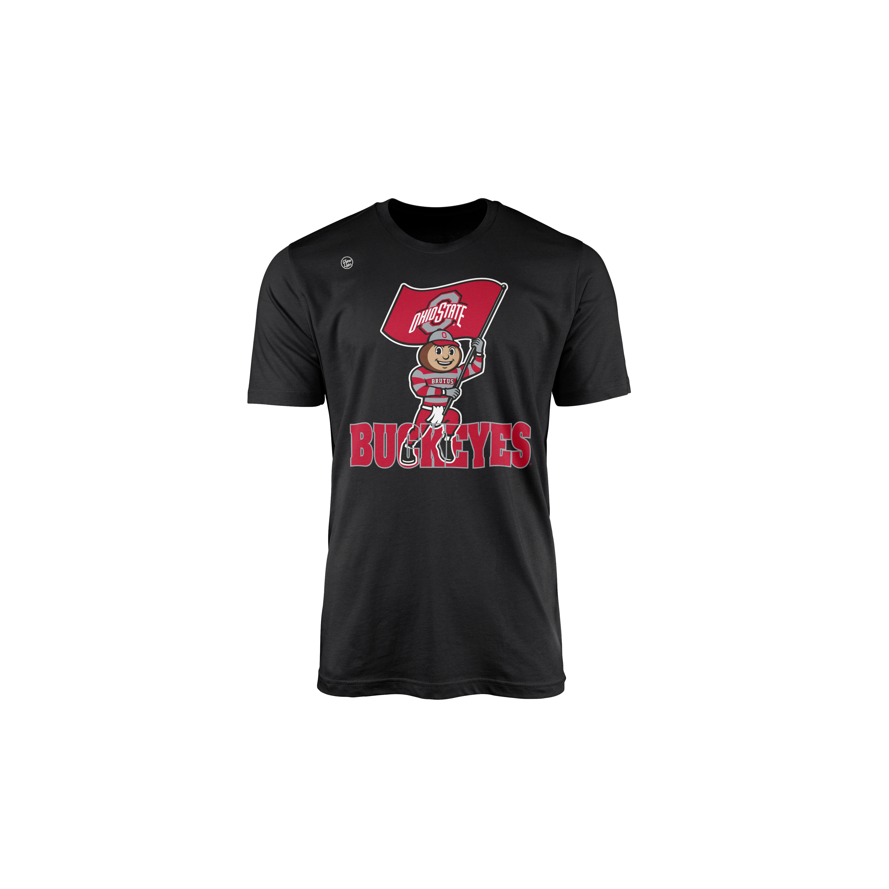 Ohio State Buckeyes Youth in the Box Tee