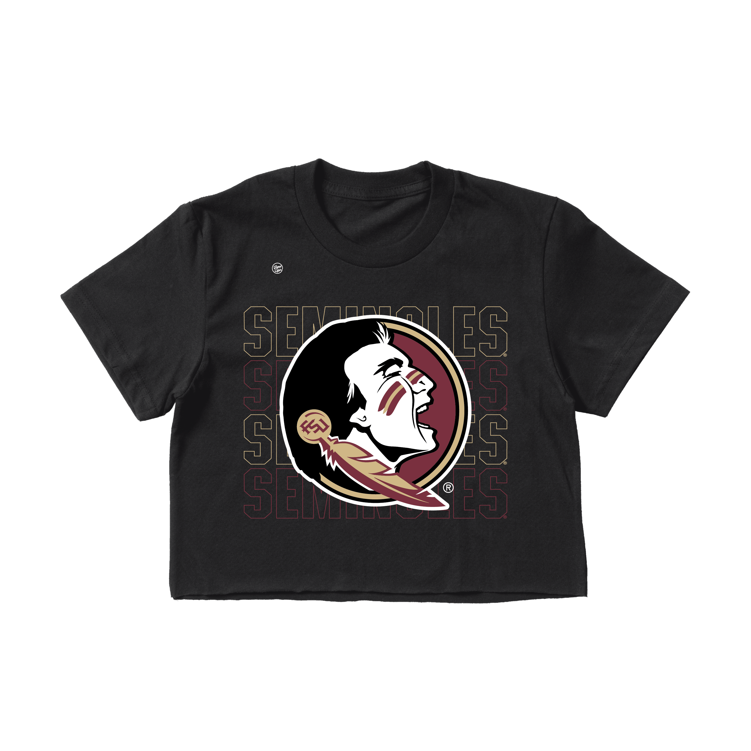 Florida State Seminoles Women's Stacked Crop