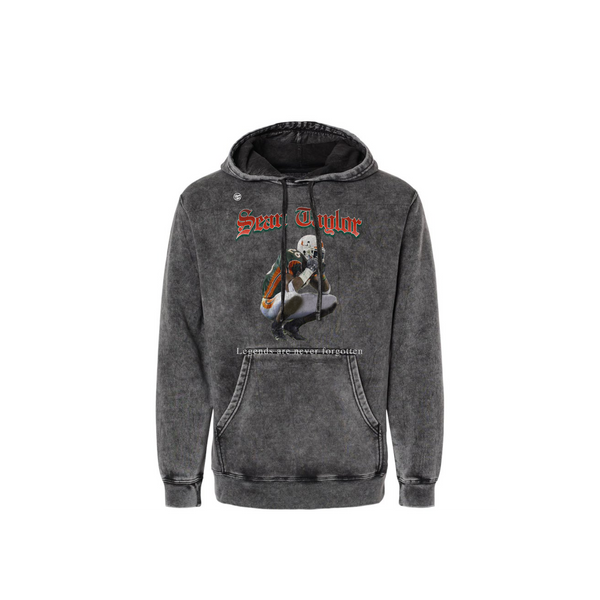 Miami Hurricanes Legends Are Never Forgotten Hoodie