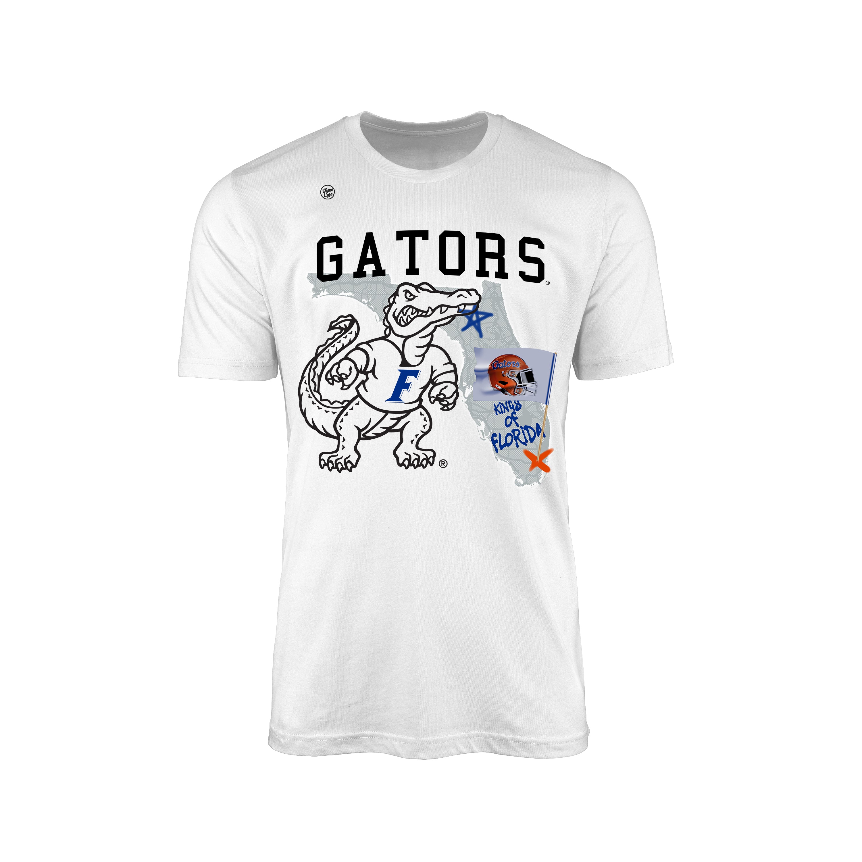 Florida Gators Men's Plant The Flag Tee