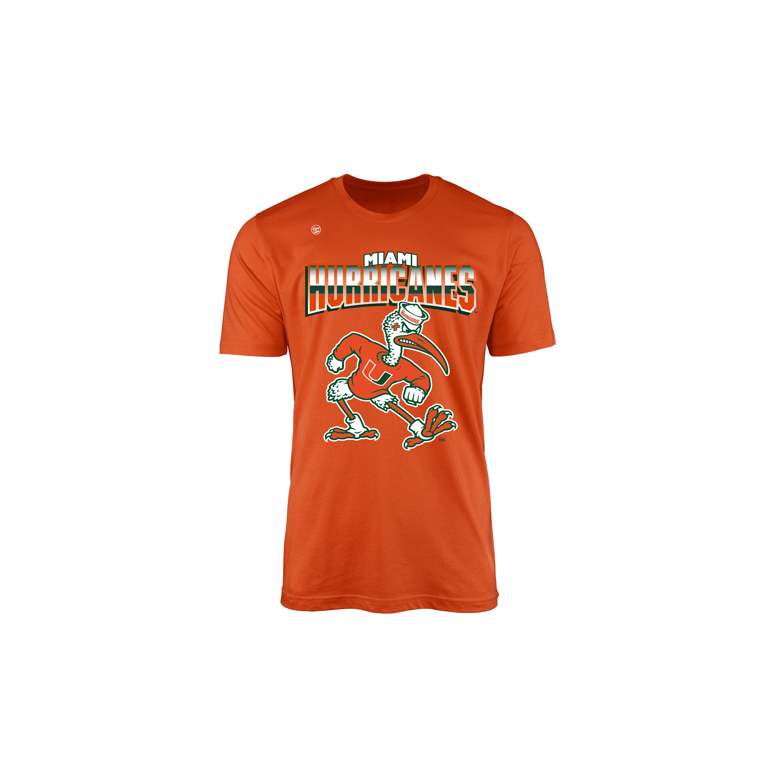 Miami Hurricanes Youth Big Logo Tee