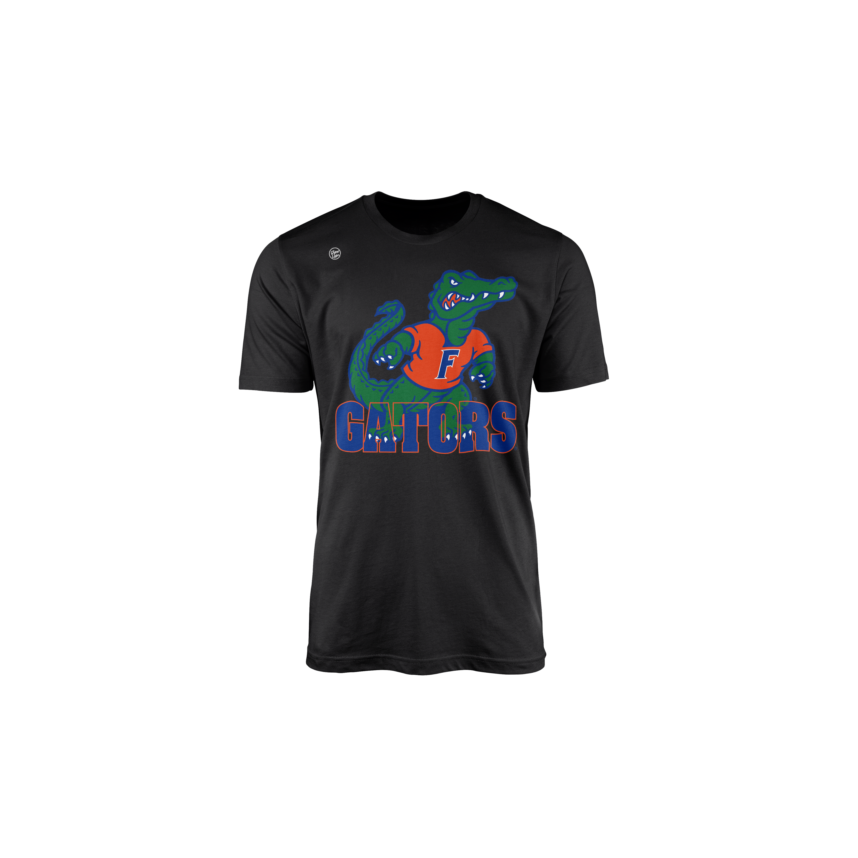 Florida Gators Youth in the Box Tee