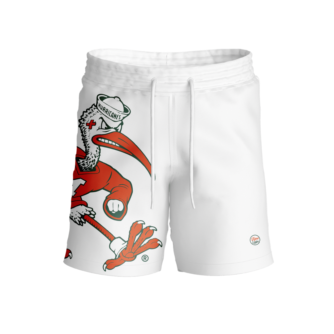 Miami Hurricanes Men's Big Sebastian Shorts